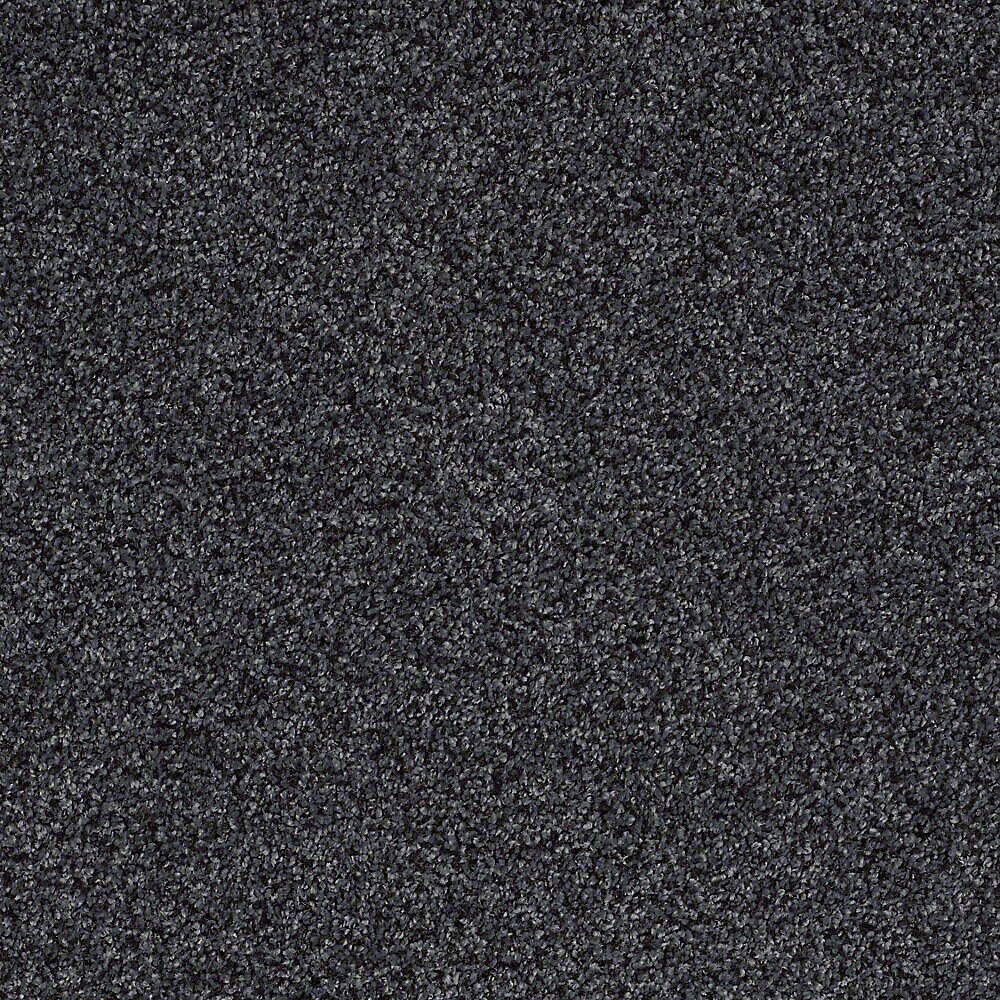 STAINMASTER S840067DEEP SEA-8257 (Sample) TruSoft Advanced Beauty II Deep Sea Textured Carpet