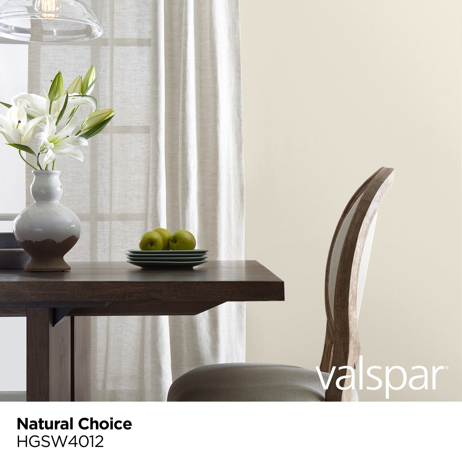 Valspar 2000 Satin Natural Choice Hgsw4012 Latex Interior Paint ...