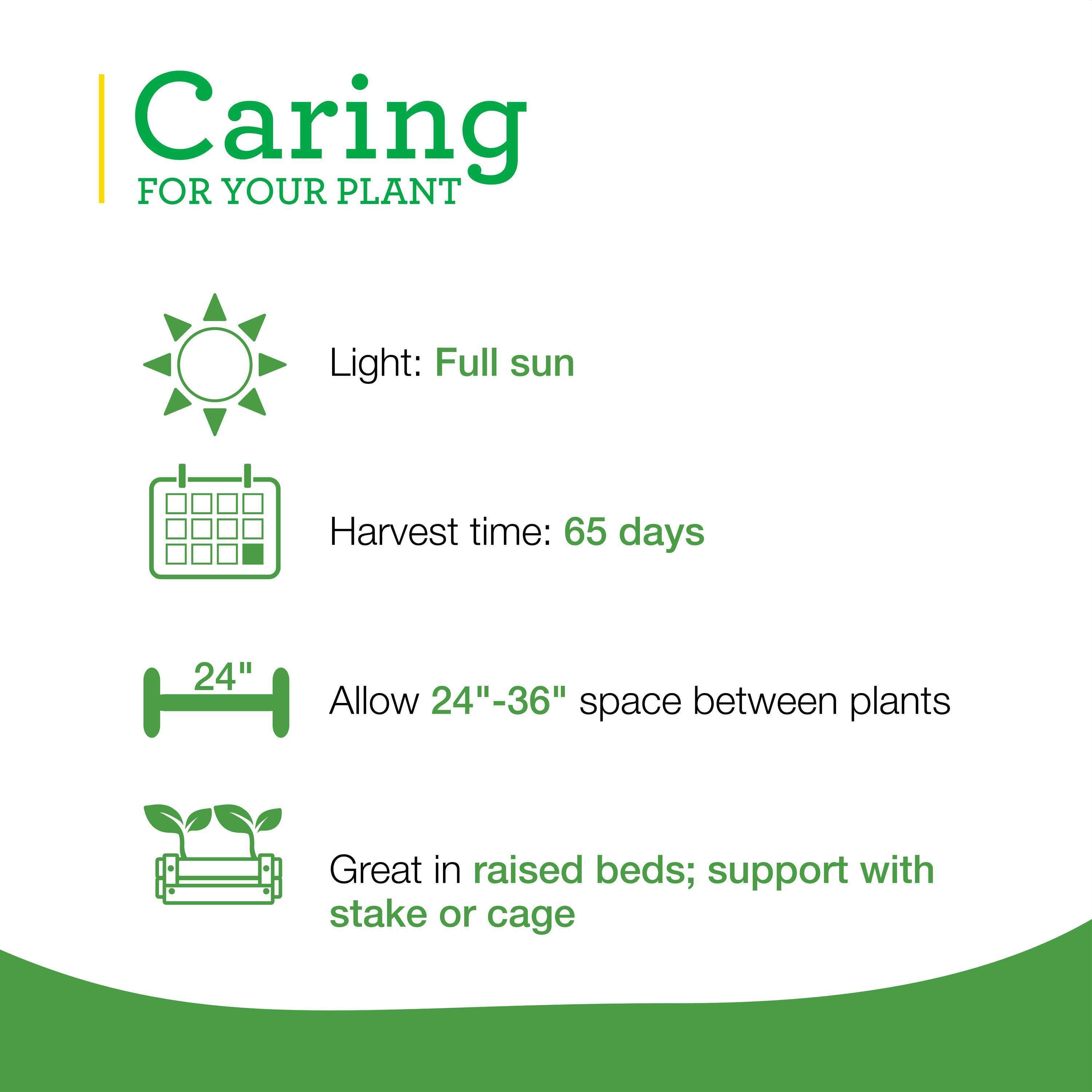 Bonnie Plants 202050 Vegetable-Plants - View #5