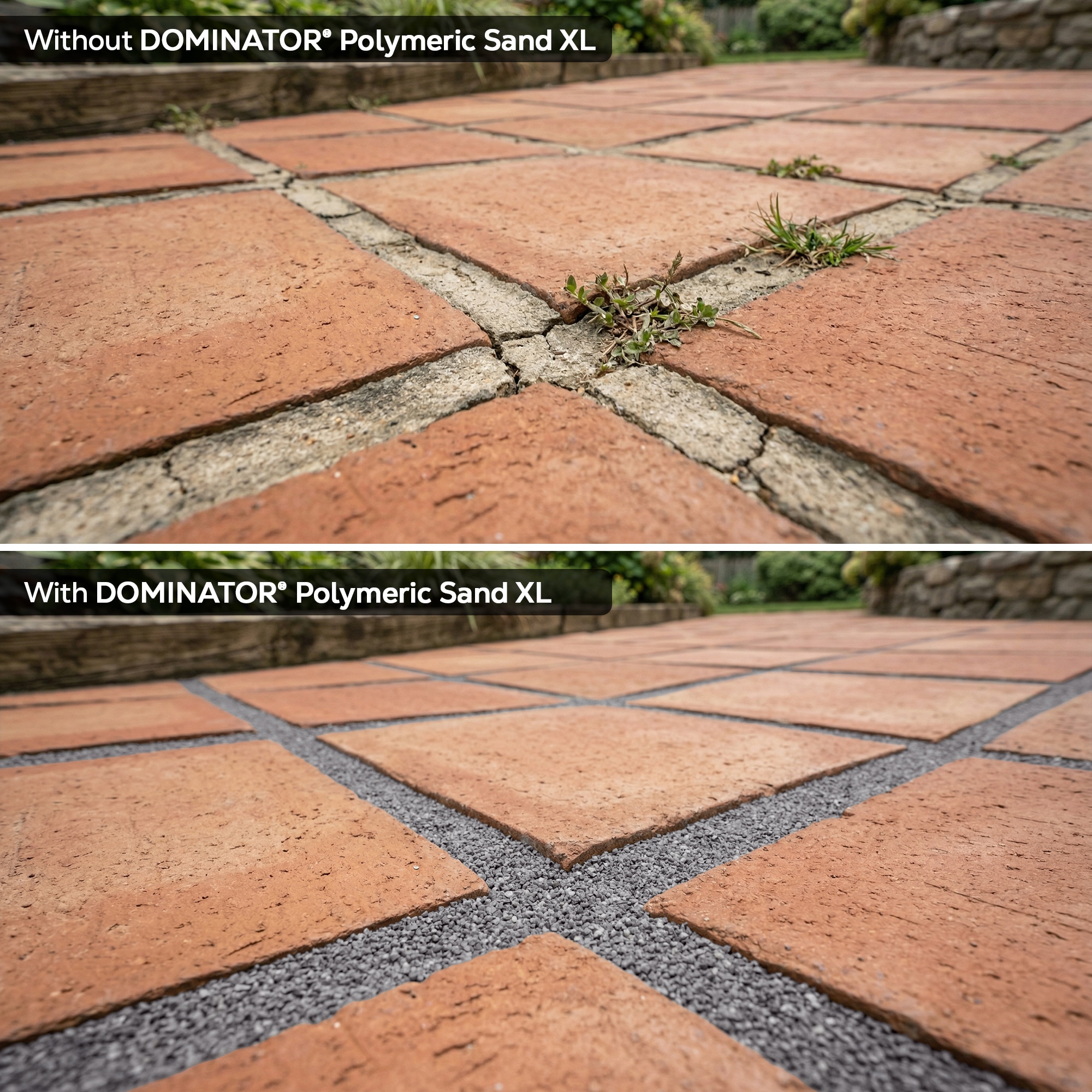 DOMINATOR DPSXL40CG Jointing-Paver-Sand - View #4