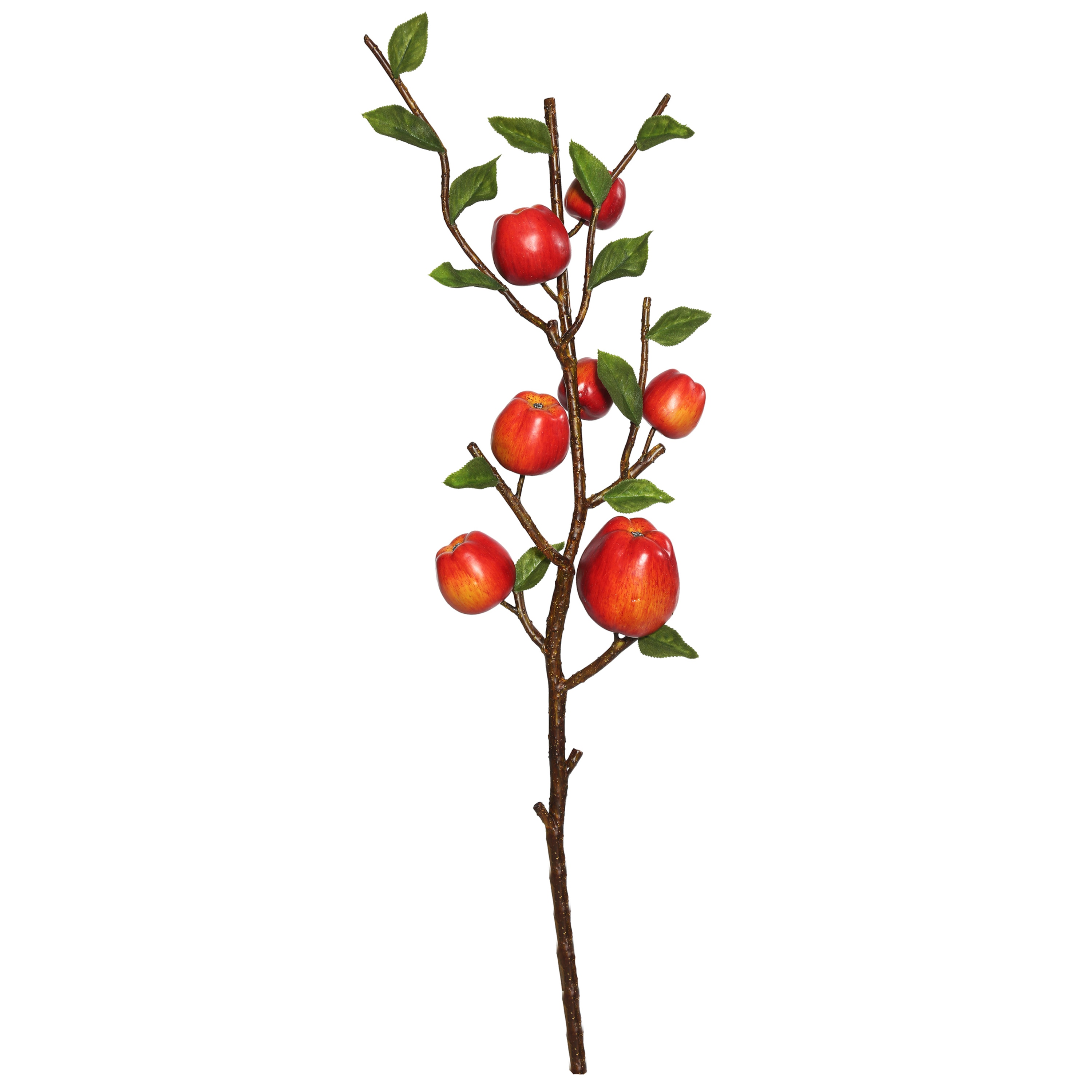 Vickerman FK171602 Multiple Colors/Finishes Styrofoam Casual Everyday Fruit