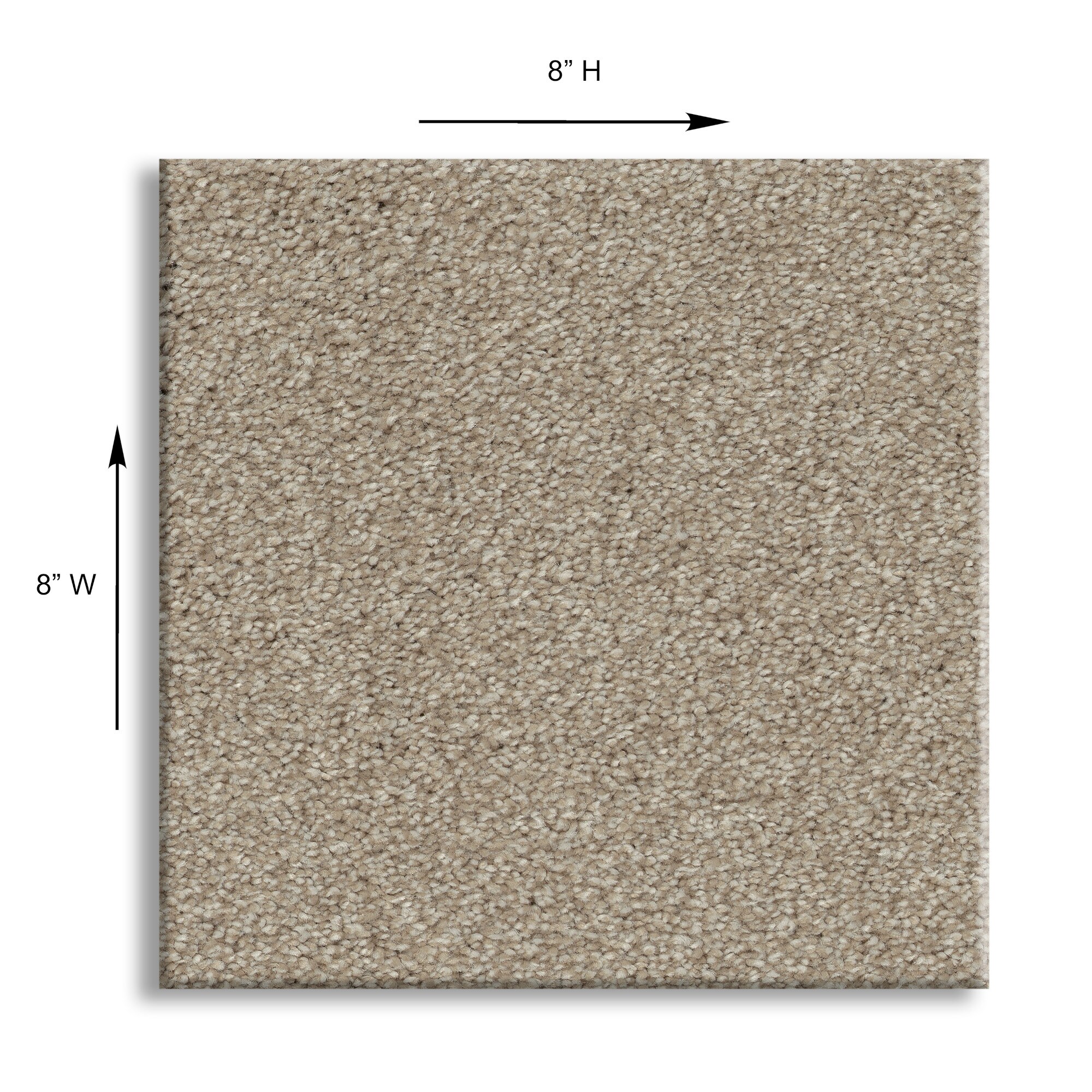 STAINMASTER PetProtect 7L928-139-SAMP Carpet-Samples - View #11