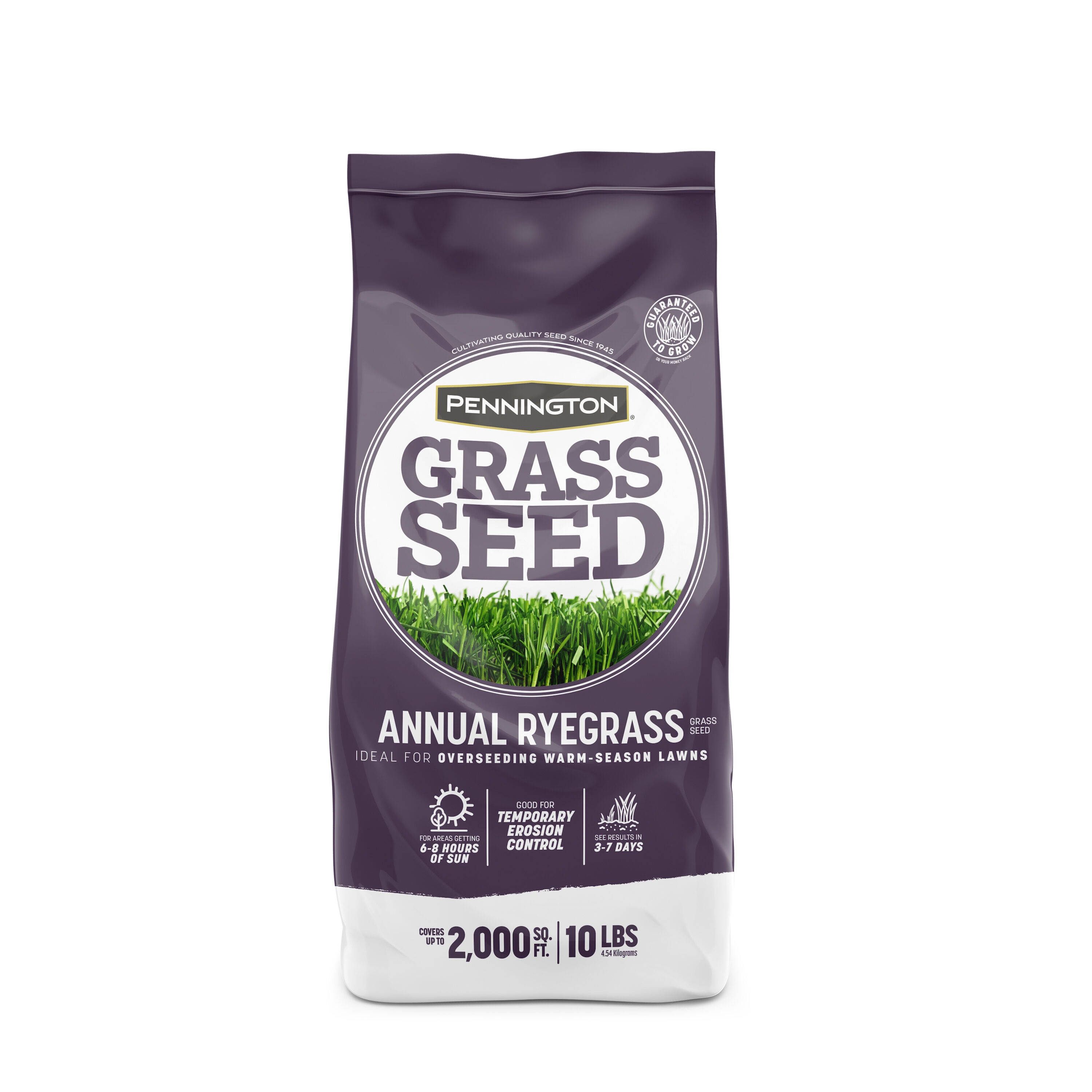 Pennington 184115 10-lb Annual ryegrass Grass Seed