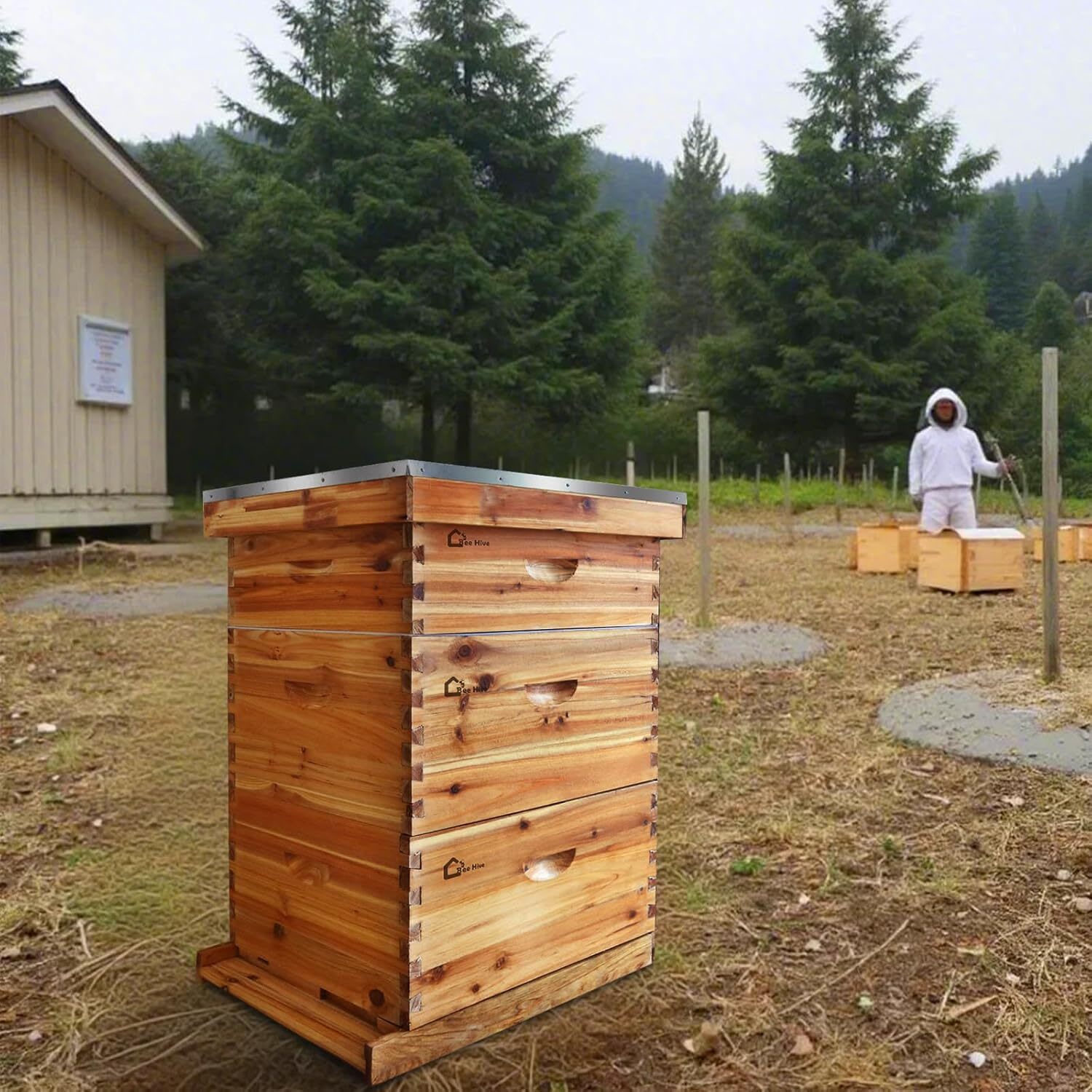 Qeetex GGL-PPG-33BLX87R Bird-Houses - View #2