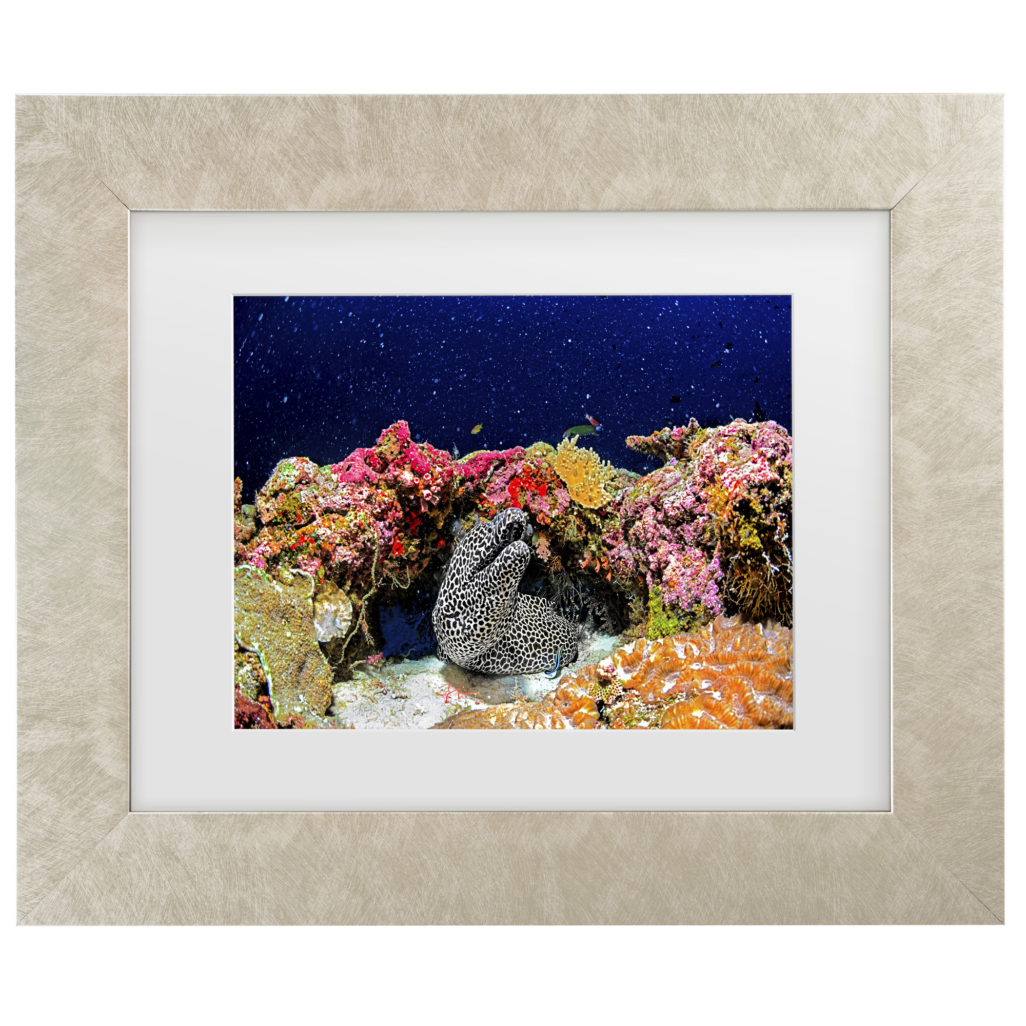 Trademark Fine Art 1X10504-C1620MF Wall-Art - View #2