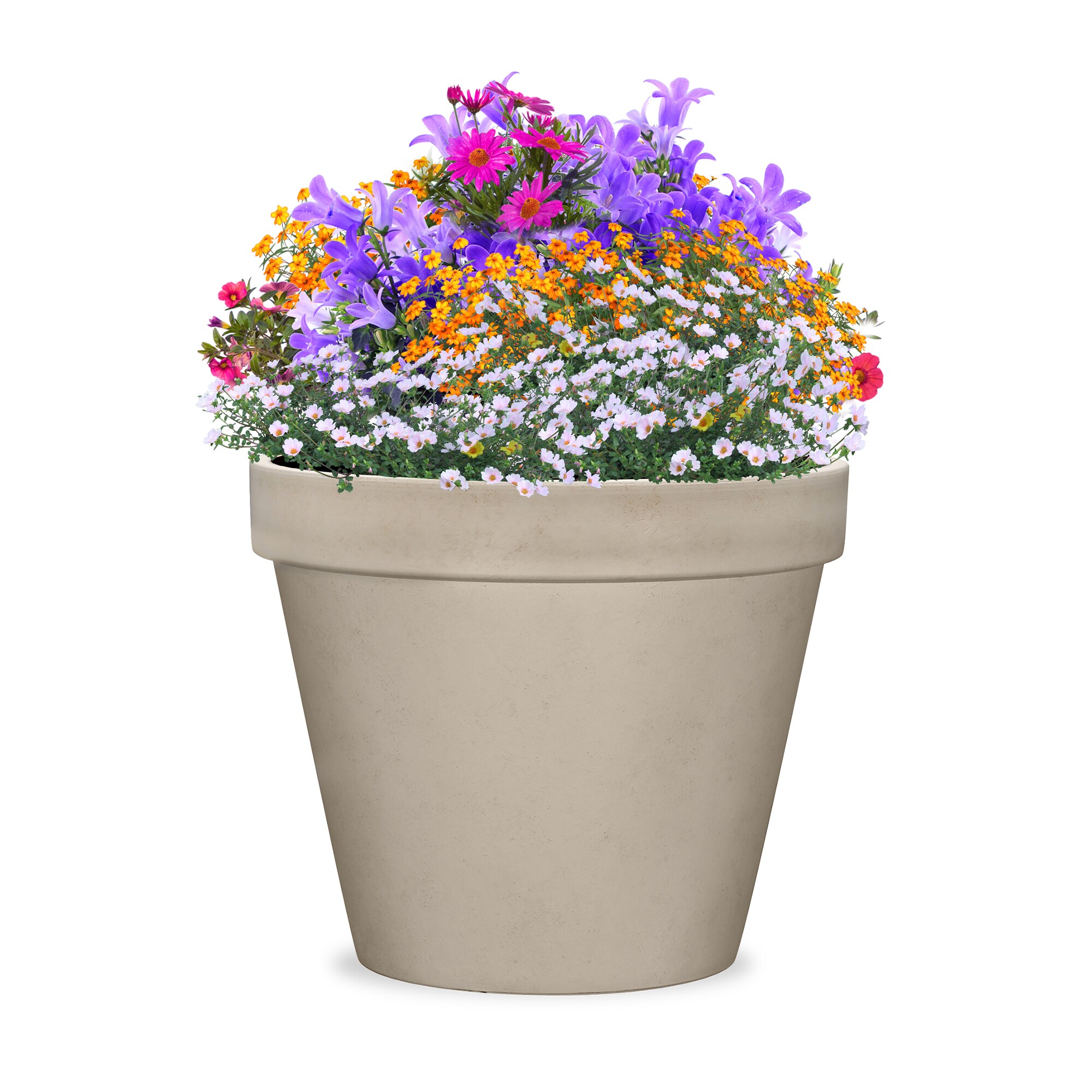 Style Selections PLG0618TLH Planter-Window-Box - View #3