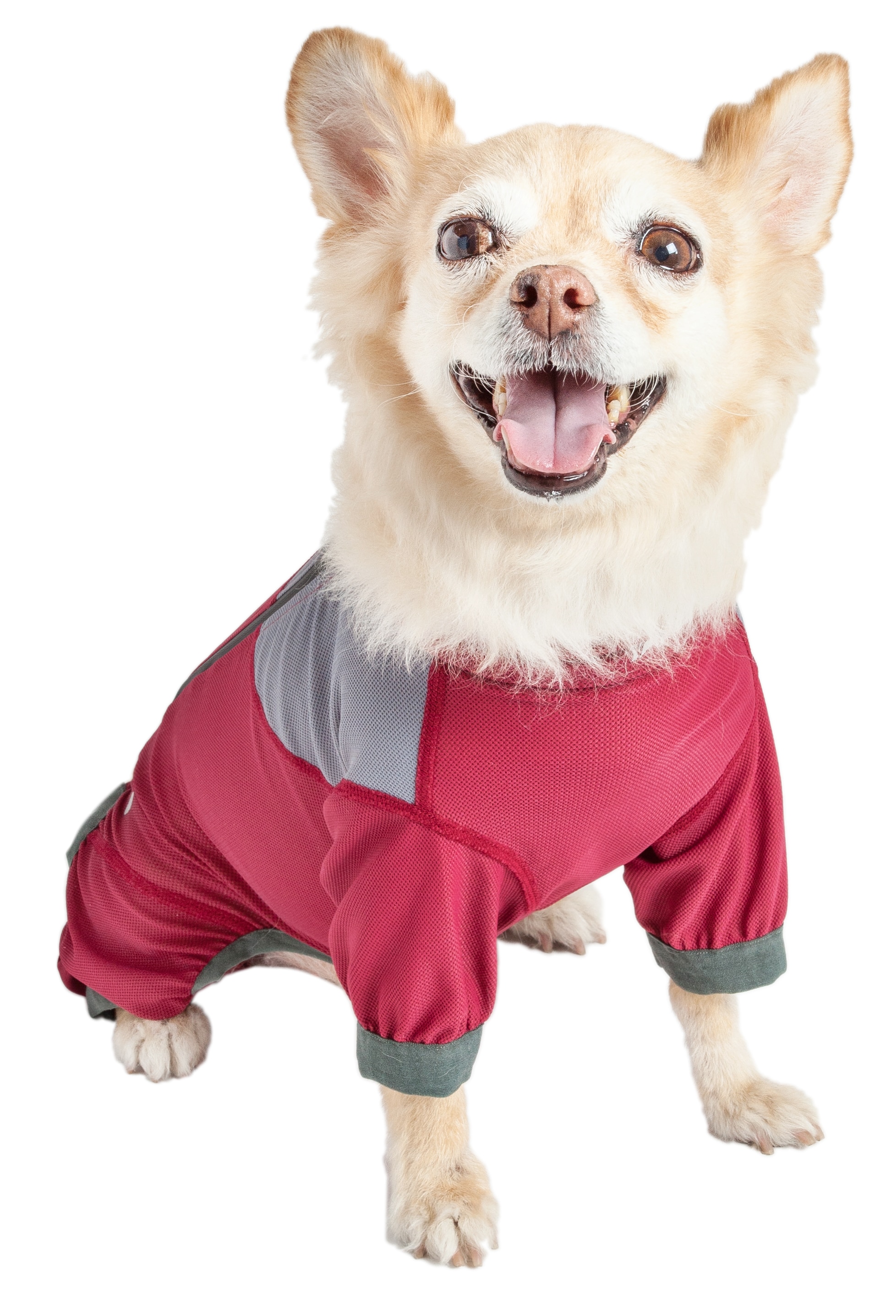 Dog Helios YGHL9RDXS Dog-Apparel - View #2