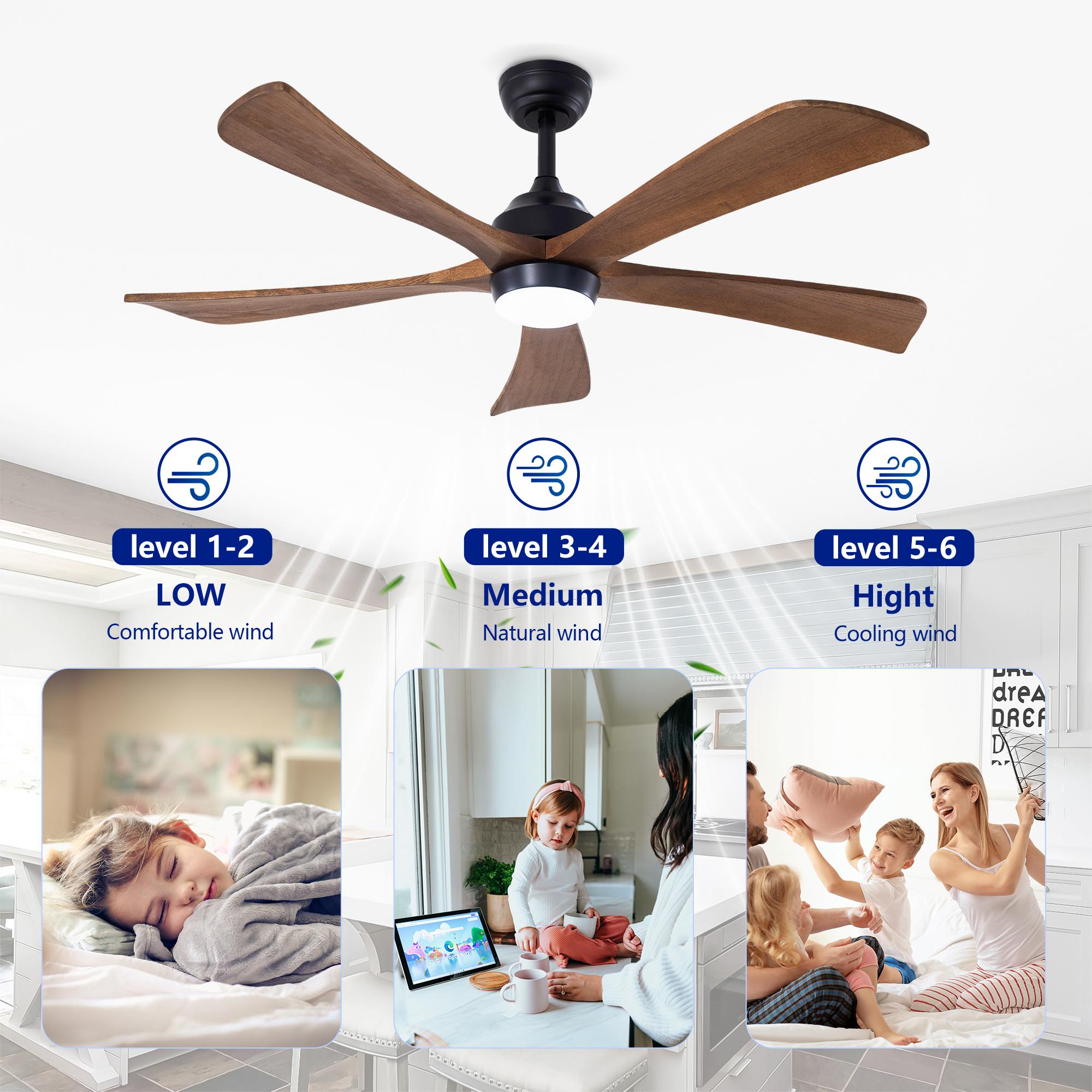 Bayfeve BF-460841-MP Ceiling-Fans - View #10