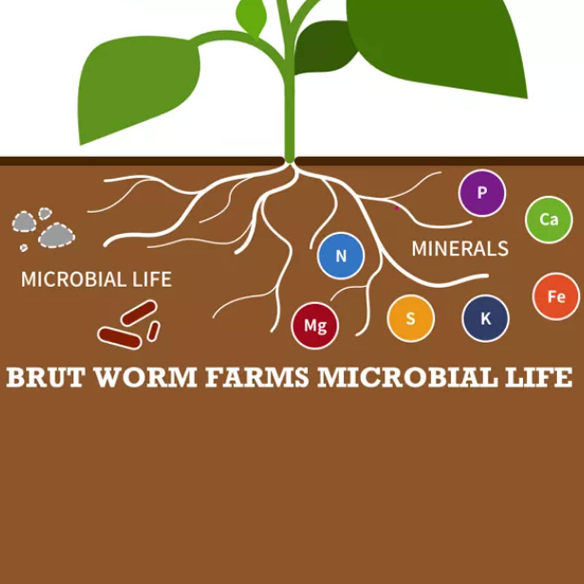 Brut Worm Farms 222900 Garden-Soil-Soil-Amendments - View #5