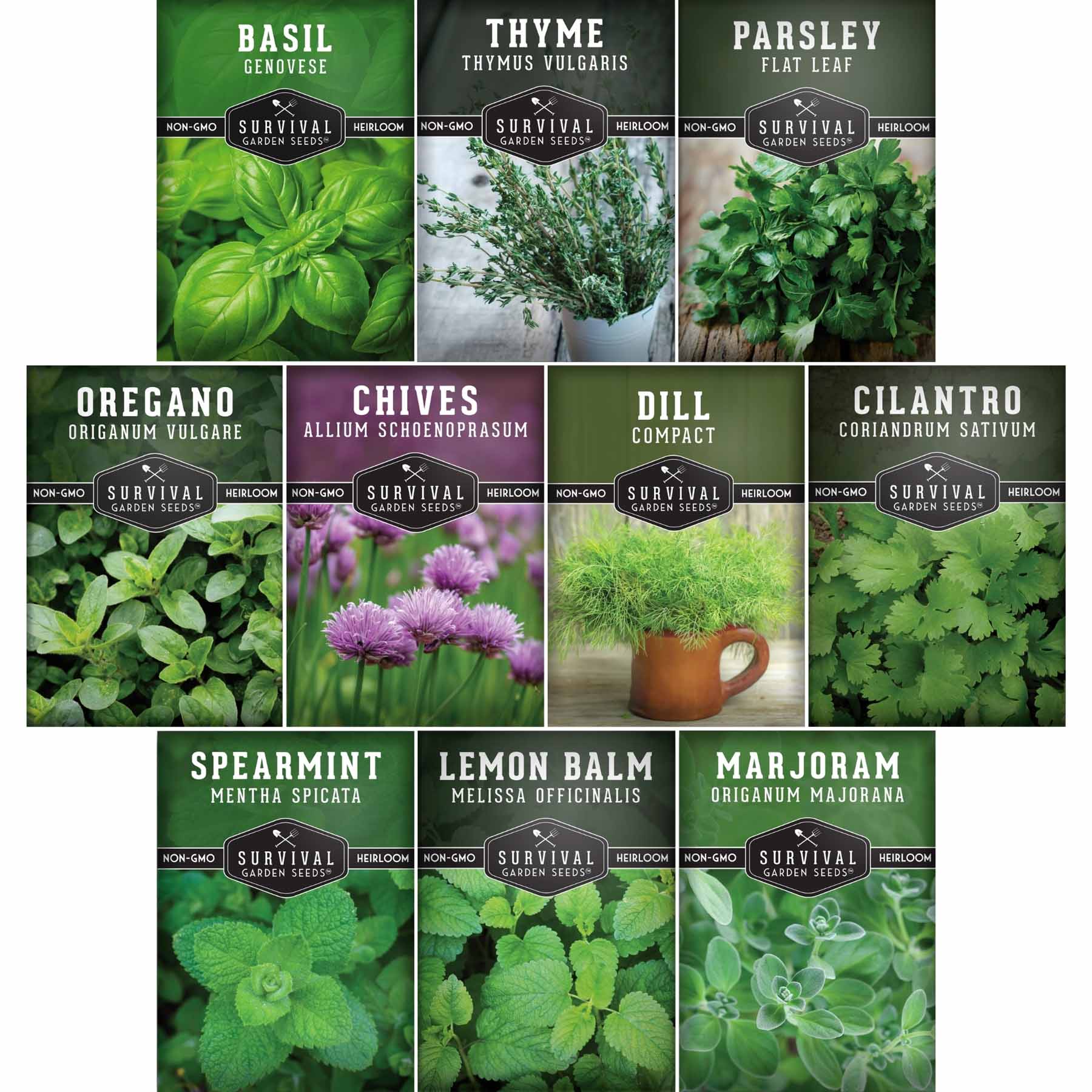 Survival Garden Seeds - Indoor Herb Garden 10 Packet Seed Collection for Windowsills