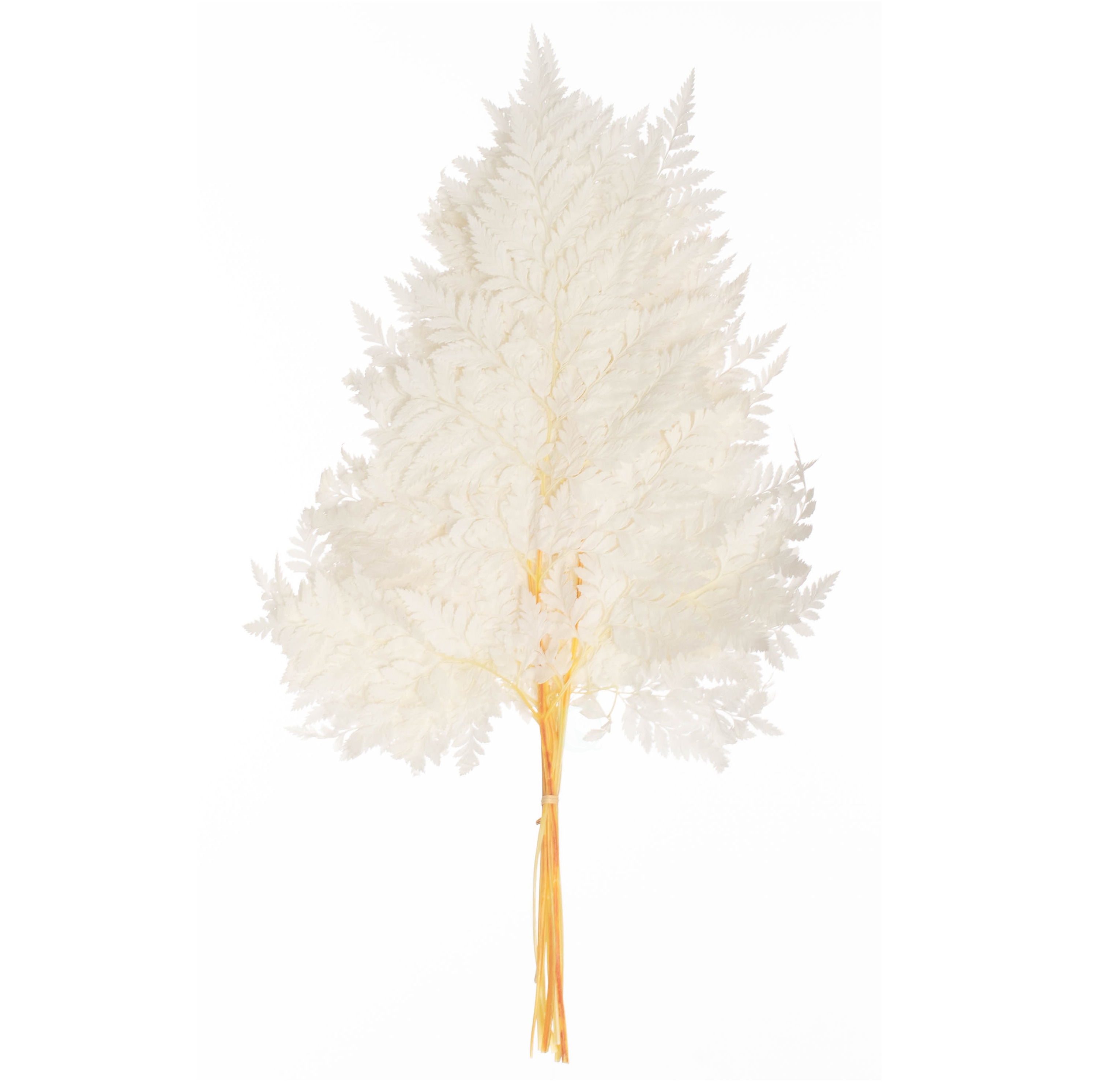 Uniquewise Dried and Preserved Floral Arrangements and Artificial Flowers for Home Decor and Events