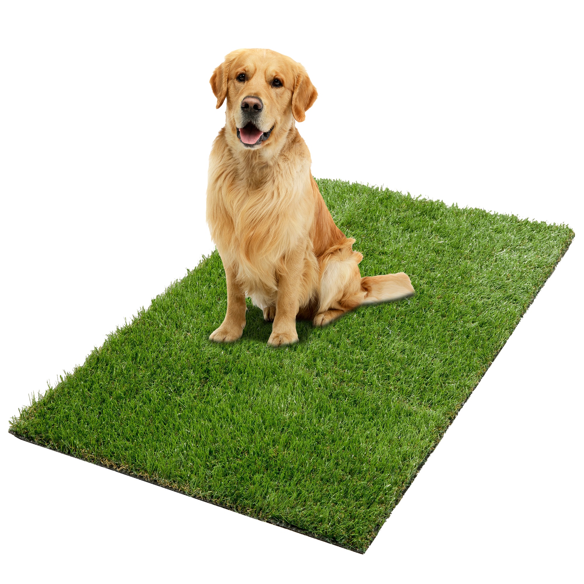 Ottomanson PET800-3X4 48-in x 31-in Reusable Polypropylene Artificial grass mat