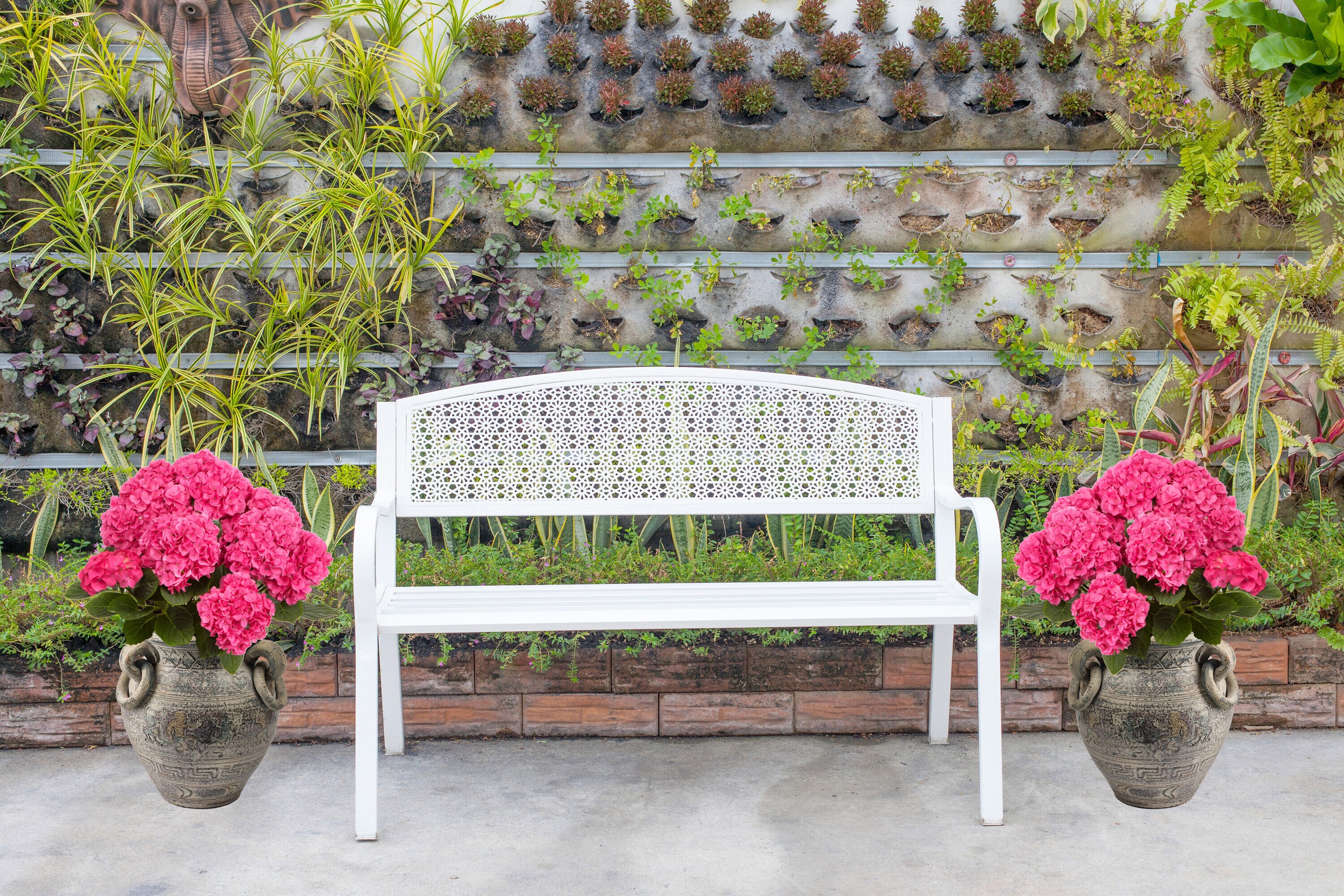  3078 shrubs - View #4