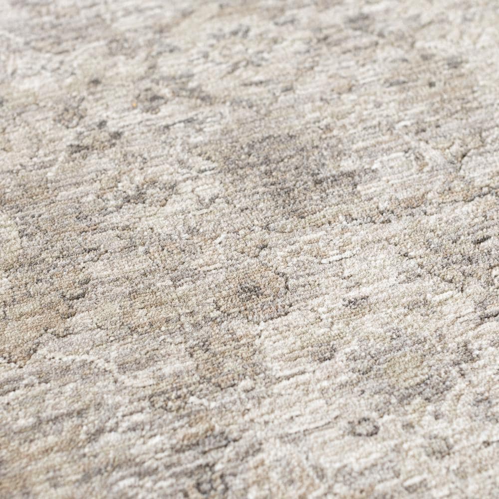 Dalyn CY10GY8X10 rugs - View #4