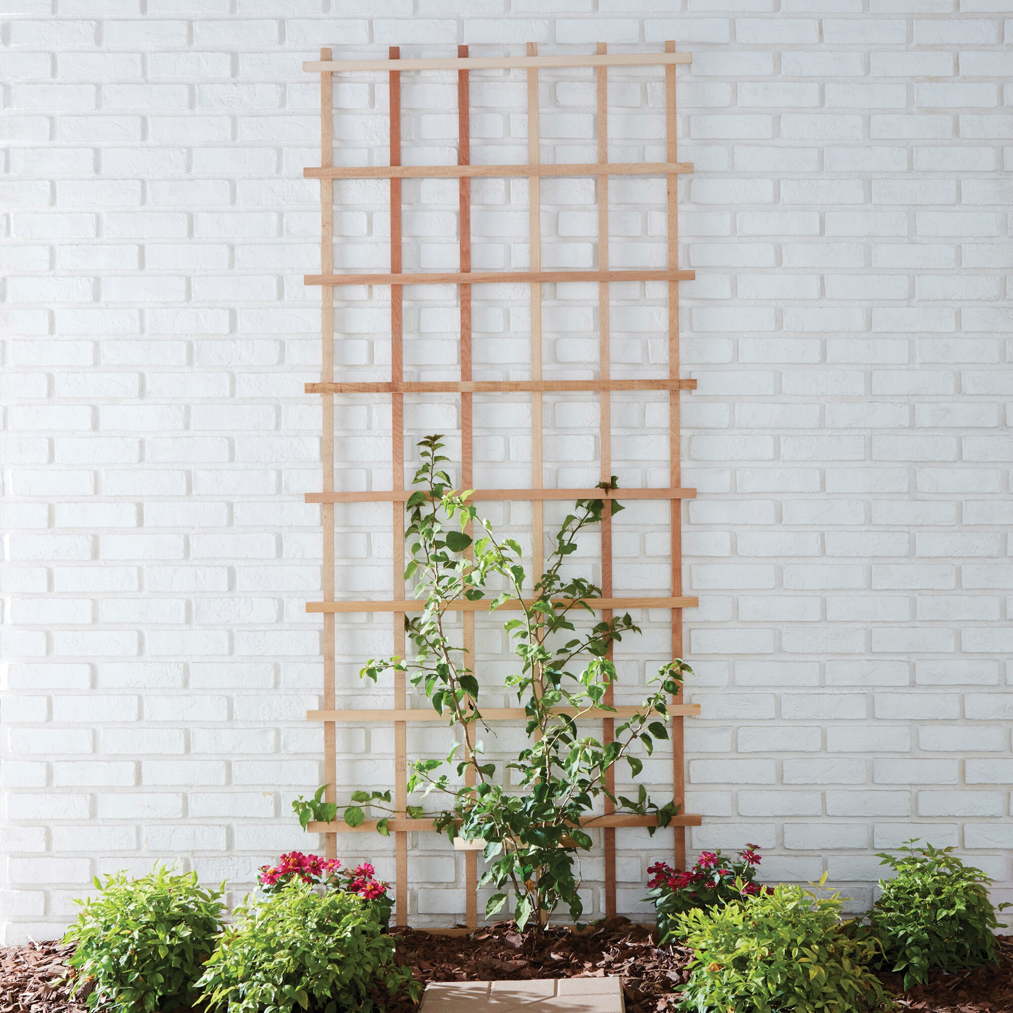 Style Selections 306 Garden-Trellis - View #4