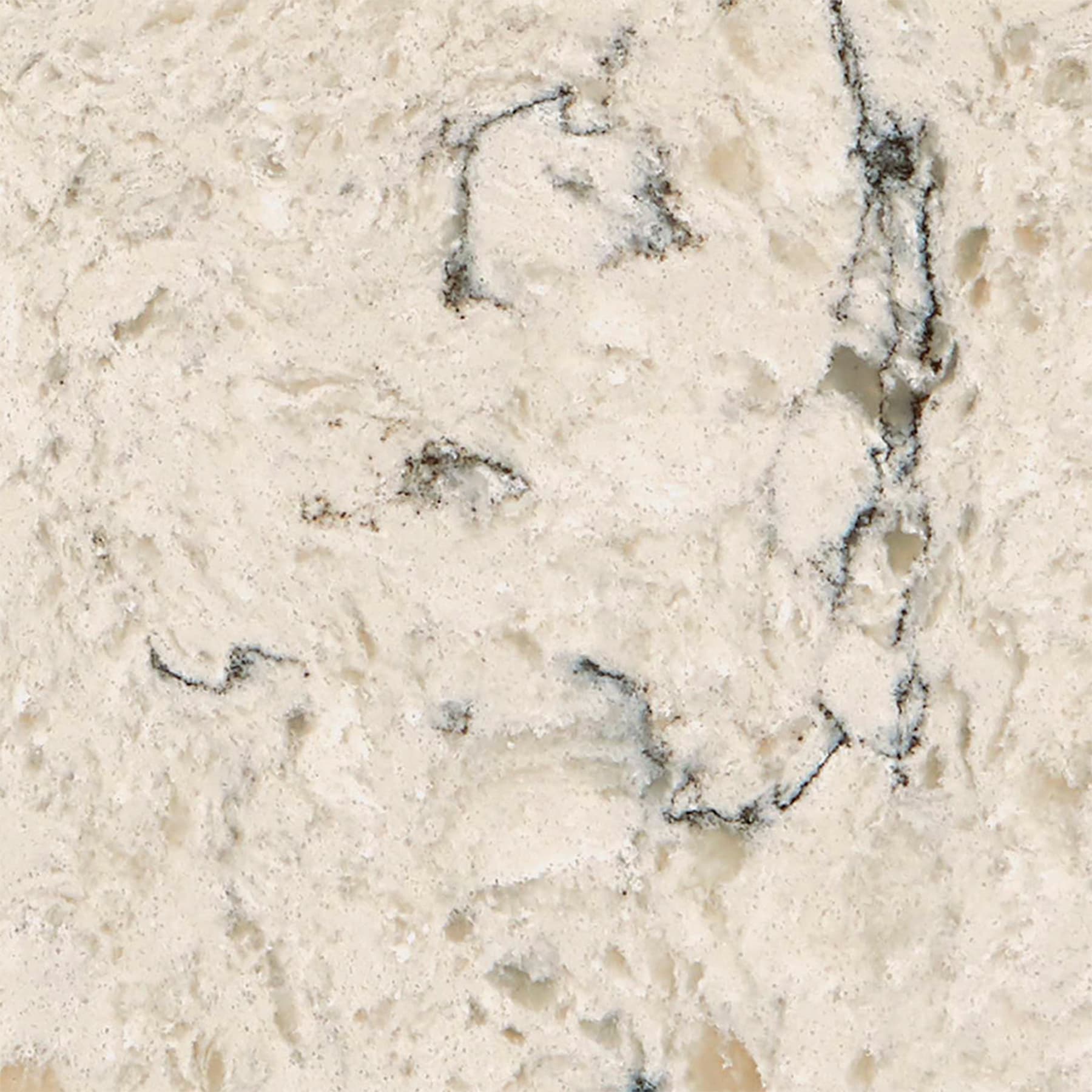 allen + roth 321204-CS Wintertide Quartz Off-white Kitchen Countertop SAMPLE ( 4-in x 4-in )