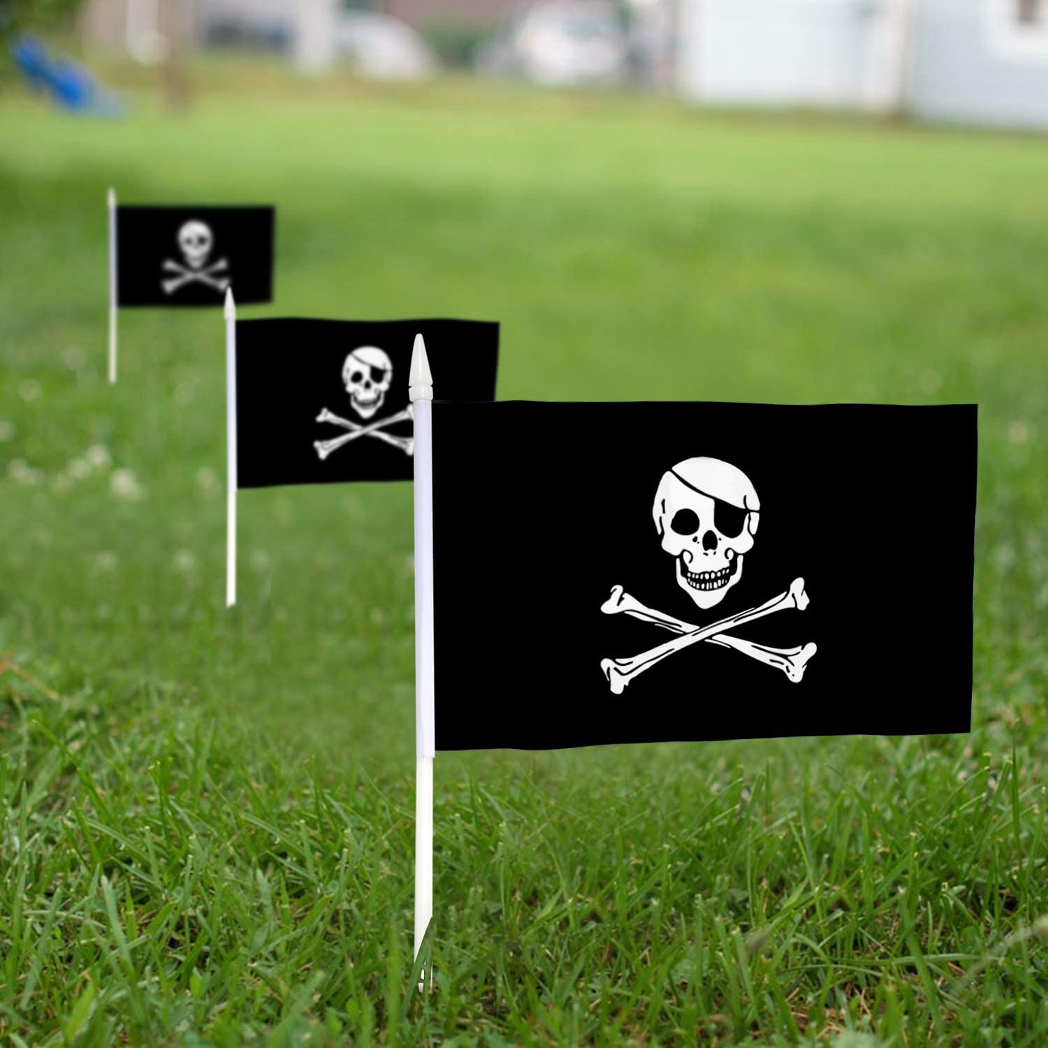 Anley Jolly Roger Flag Pirate Flags 2-Pack 5-ft W x 3-ft H Flag in the  Decorative Banners & Flags department at