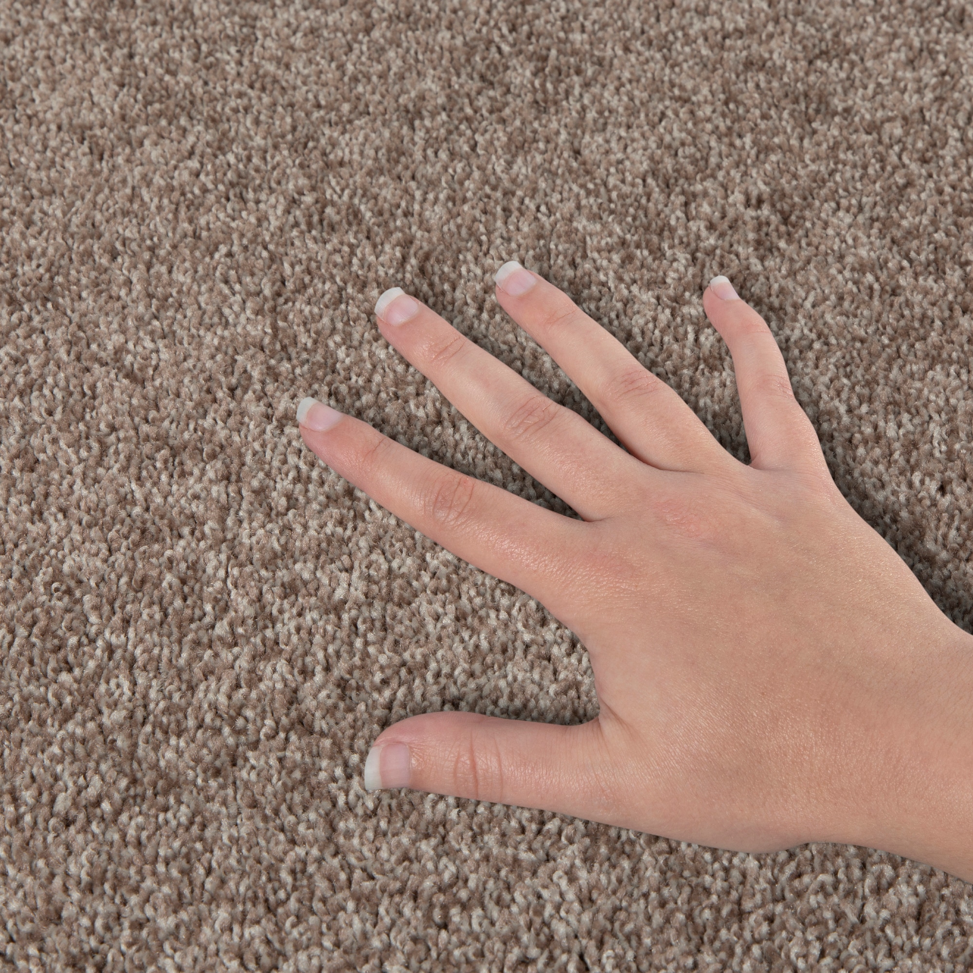 STAINMASTER PetProtect SS021-L009-0808 Carpet-Samples - View #4