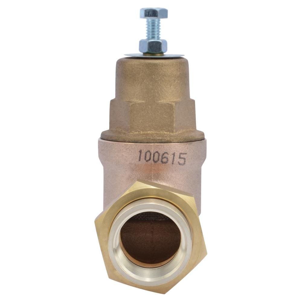 Cash Acme 1-in FNPT Brass Pressure Regulator Valve In The Pressure ...