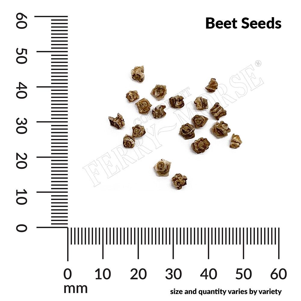 Ferry-Morse LC25.1310 Vegetable-Herb-Seeds - View #4