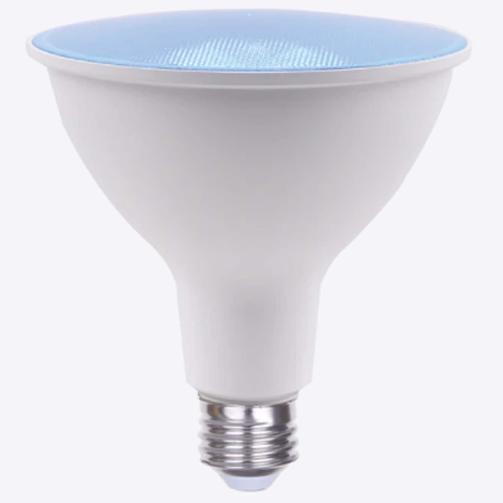 Luxrite LR31642-2PK Dec-Led-Light-Bulbs - View #7