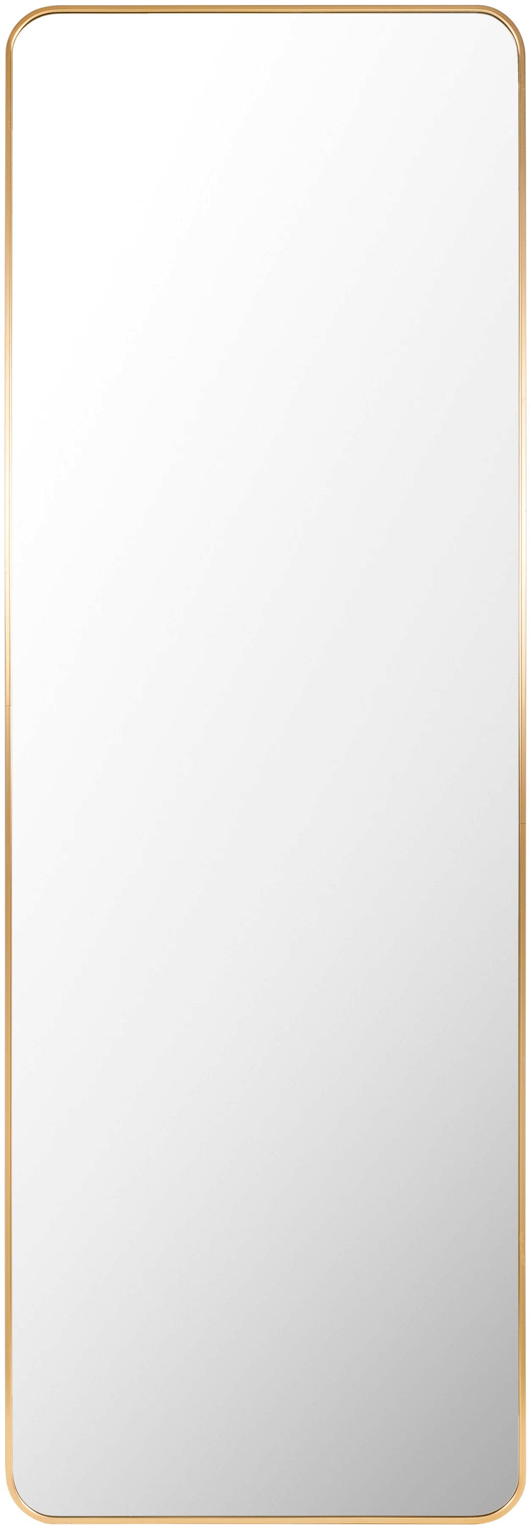 Livabliss RAY043-2265 Aranya 22-in W x 65.0-in H Rectangle Gold Framed Wall Mirror