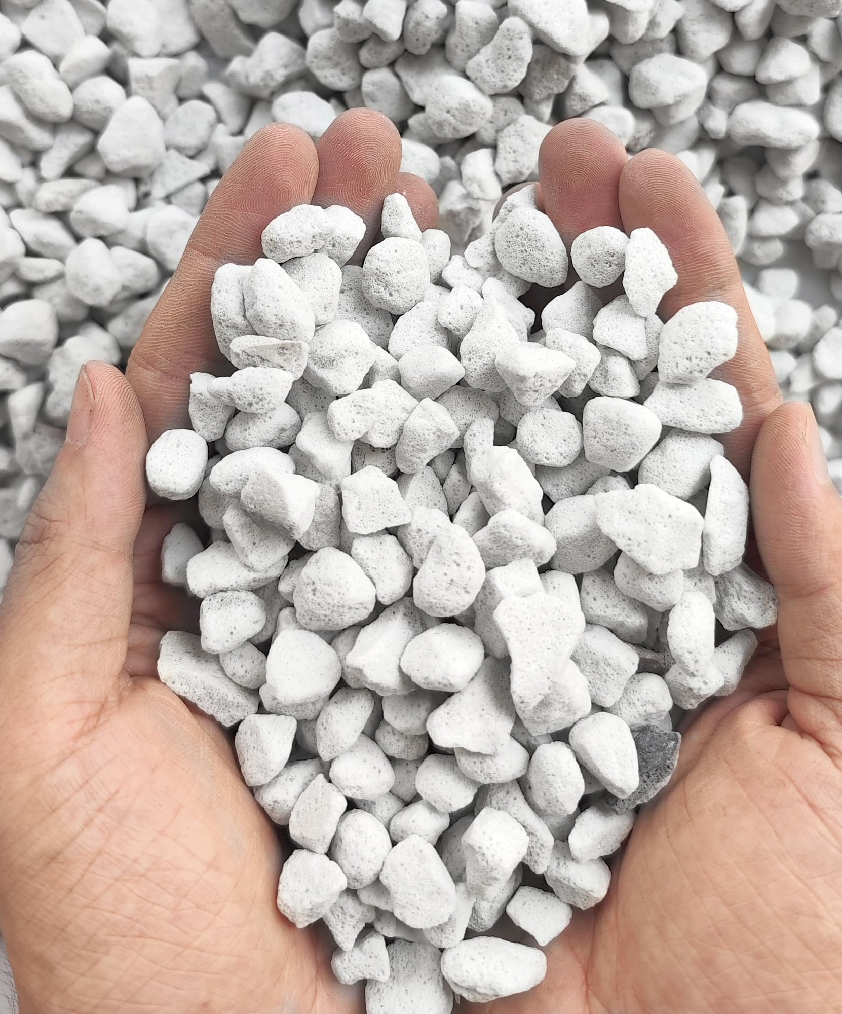 ITOPFOX  25QT Organic Perlite Horticultural Soil Amendment Lightweight Soil Additive Improves Drainage Aeration and Root Growth for Indoor