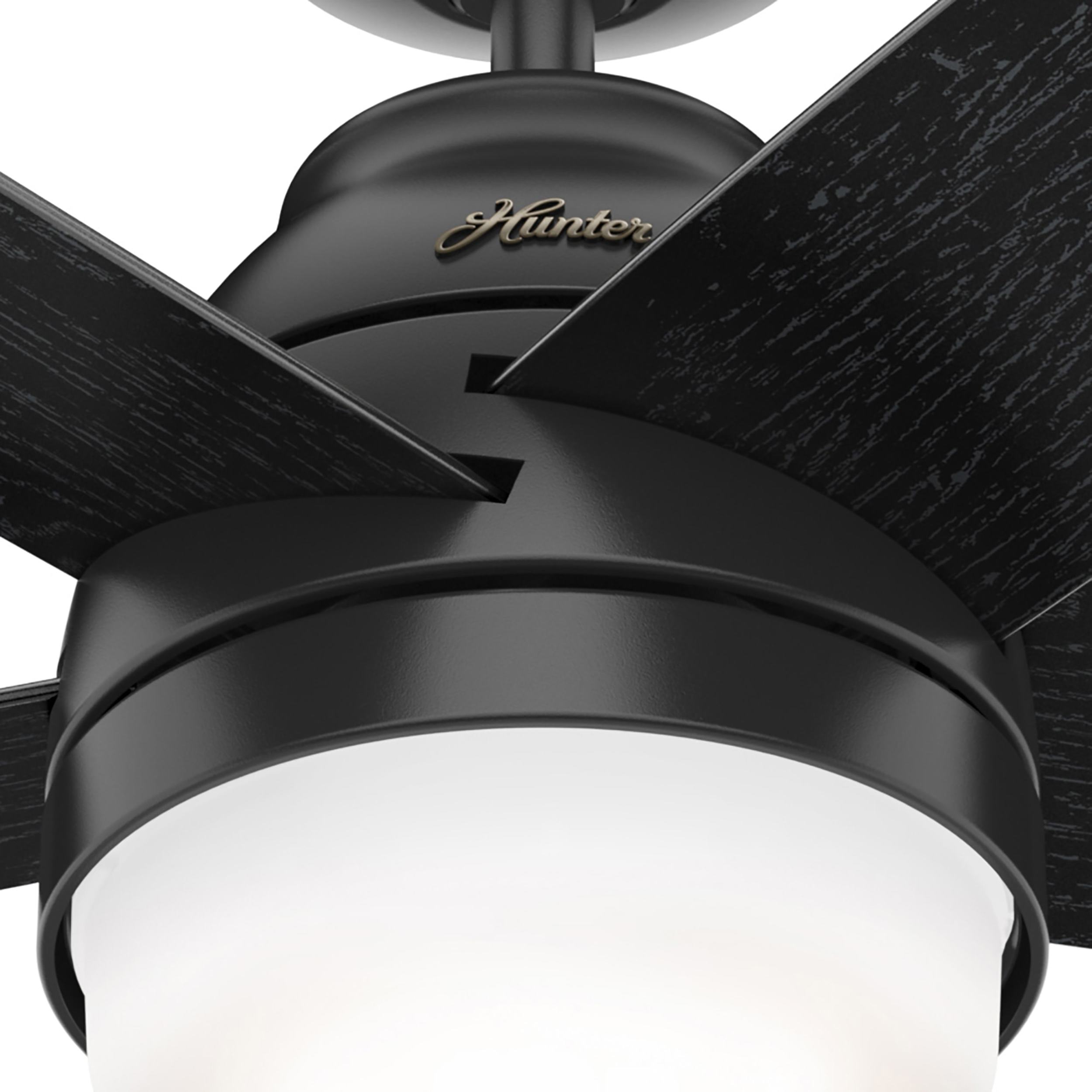 Hunter 51350 Ceiling-Fans - View #16