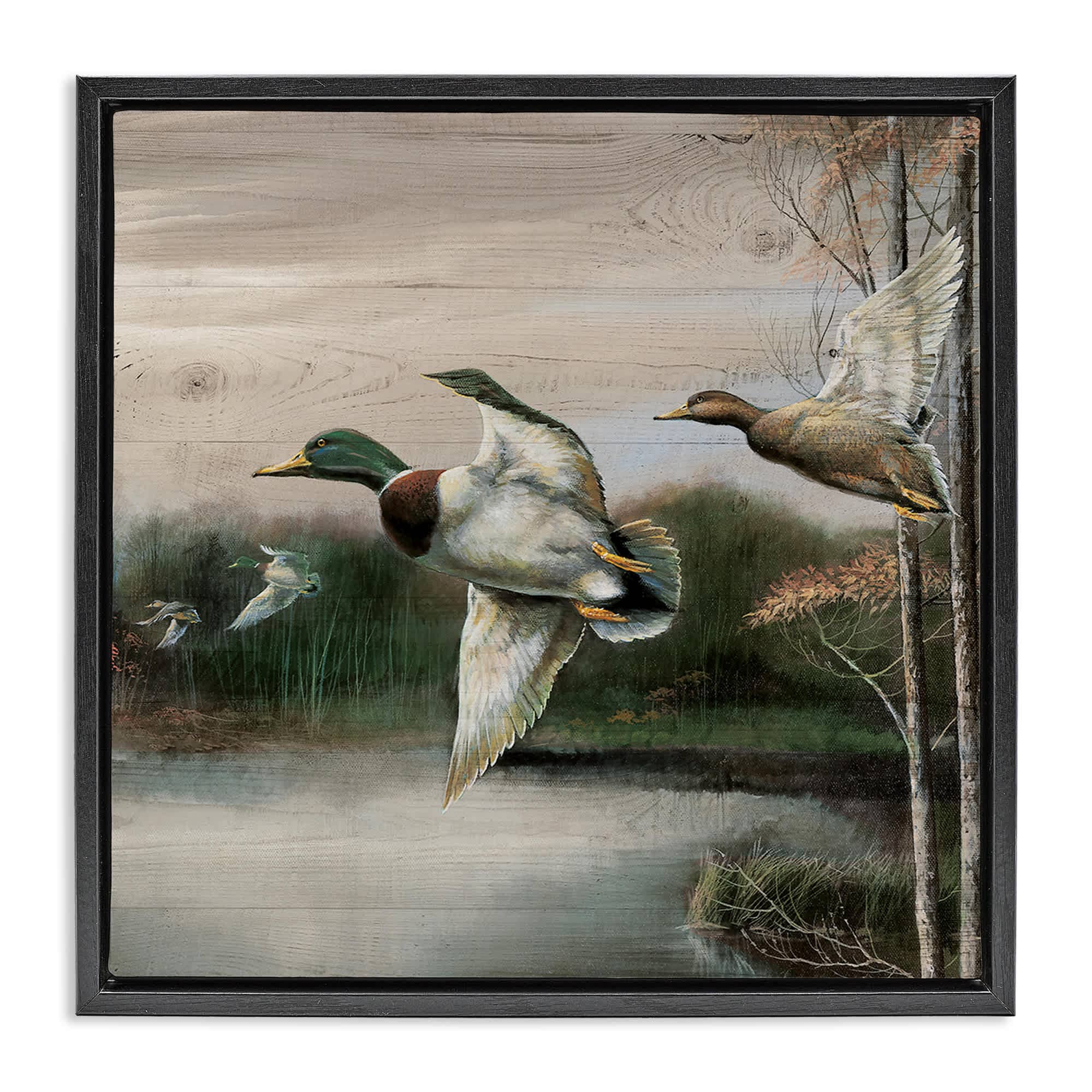 Stupell Industries BS-213-FFB-24X24 Flying Ducks in Rustic Nature Floating Frame design by Ruane Manning