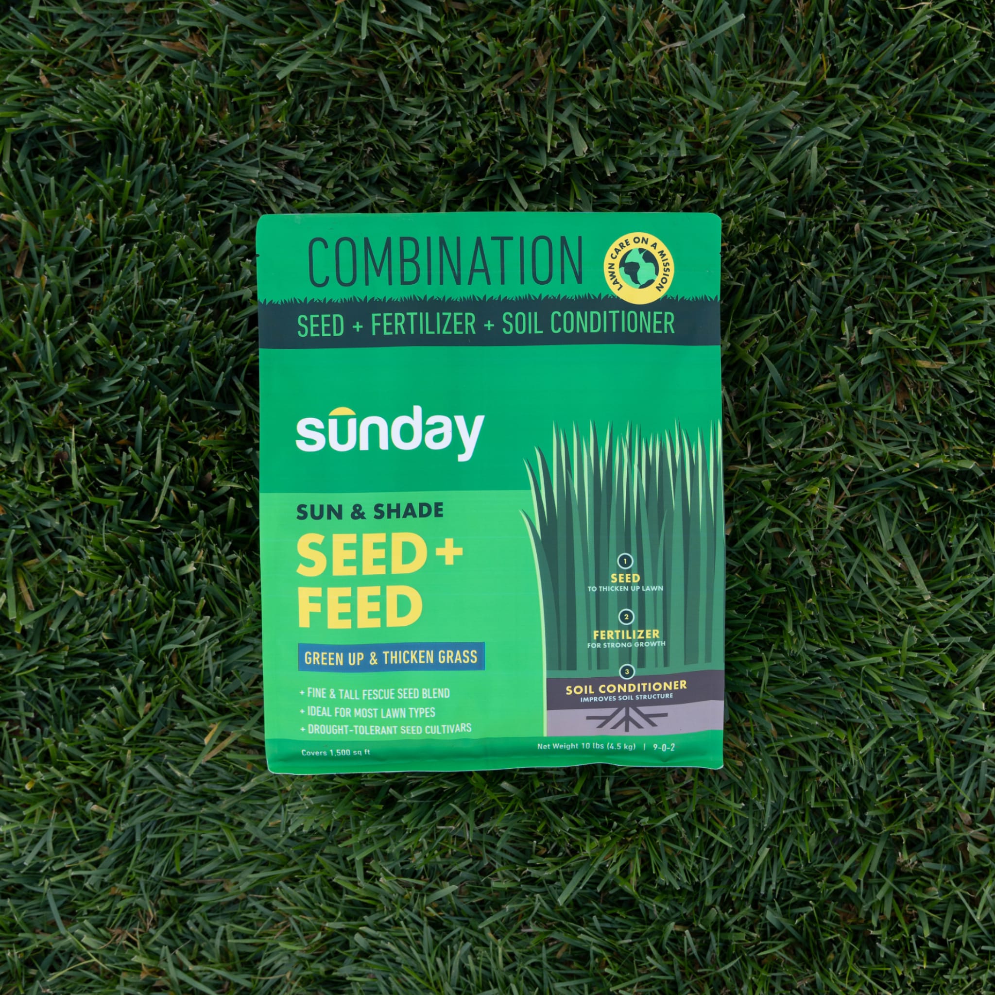 Sunday FF2024 Grass-Seed - View #8