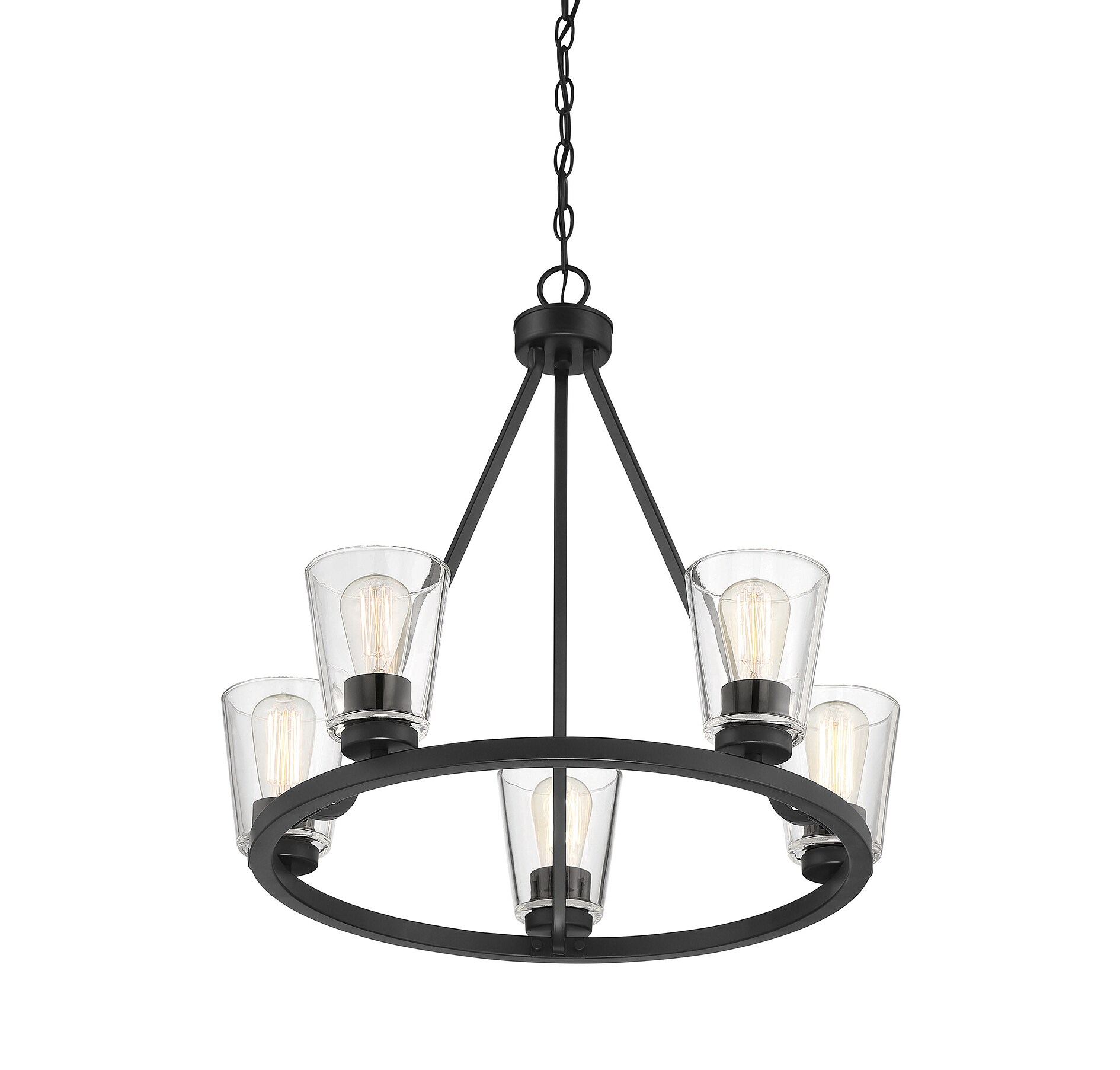 Calhoun Matte Black 5-Light Chandelier with Clear Glass Shades