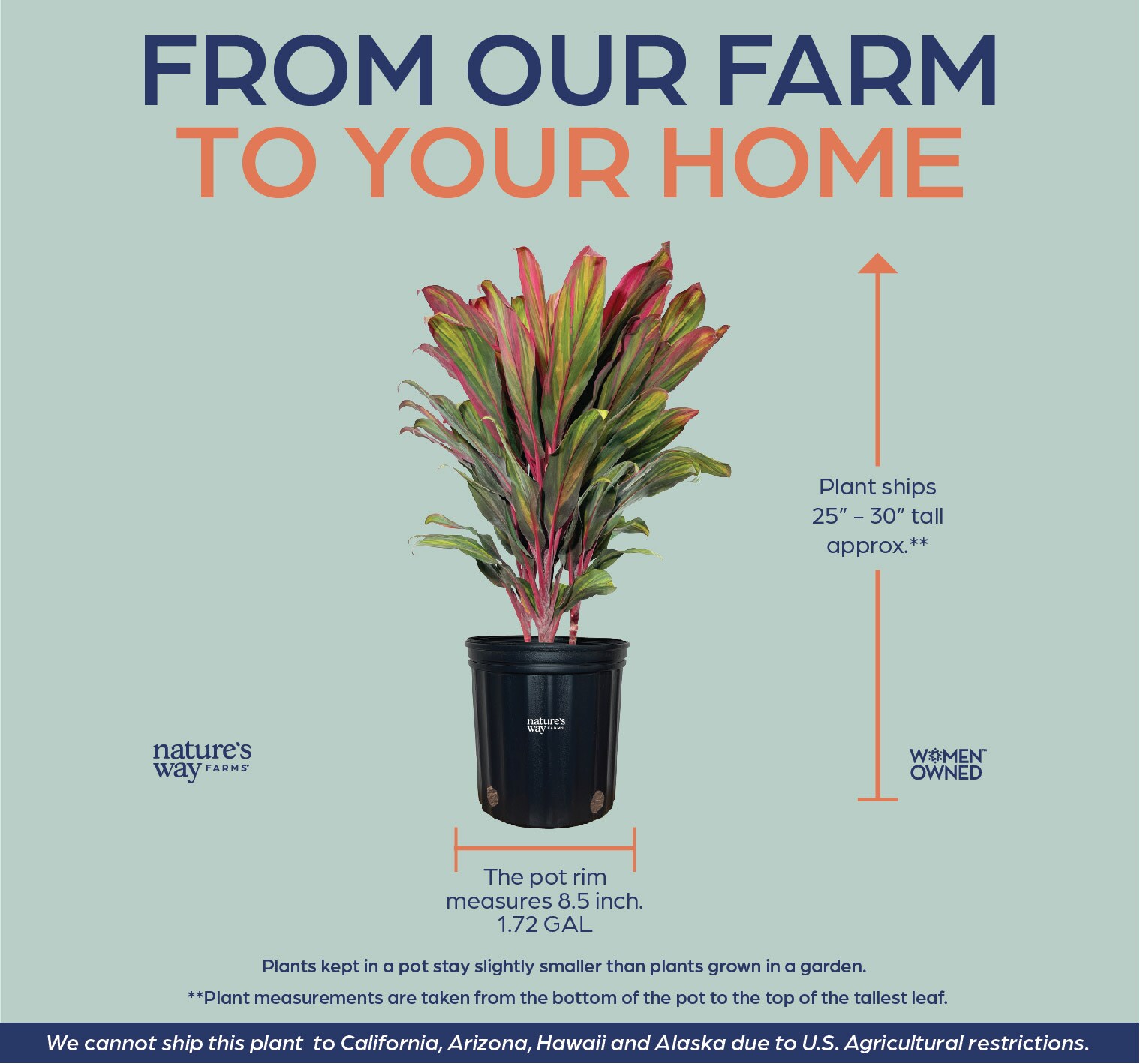  37745 perennials - View #2