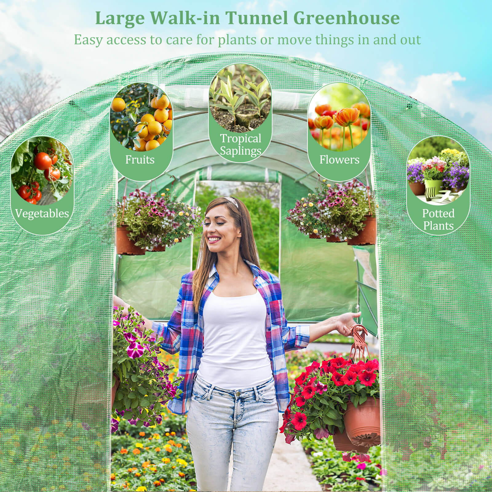 Slickblue D-CO-NG0204TG greenhouses - View #4