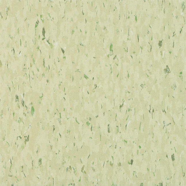 Armstrong Flooring MultiColor 45-Piece Mint Masquerade Commercial VCT Tile Armstrong Flooring MultiColor 45-Piece Mint Masquerade Commercial VCT Tile