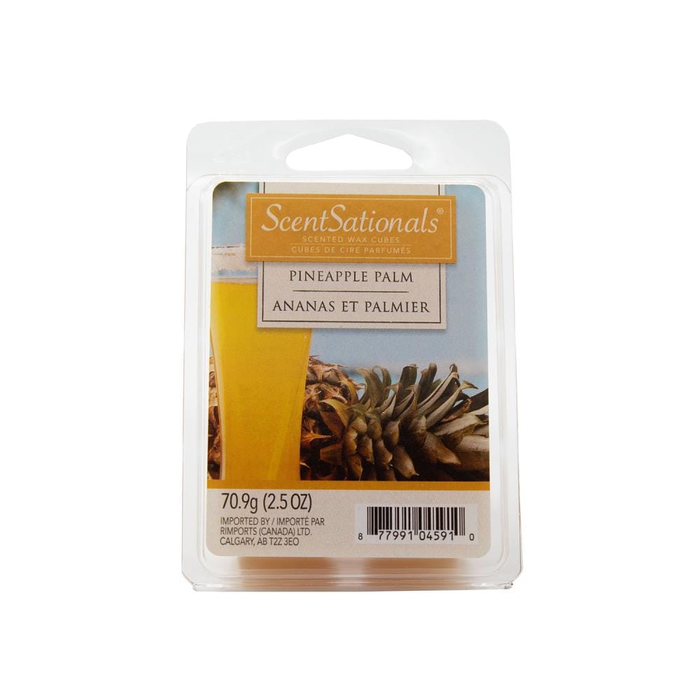 Scentsationals 2.5 oz Molten Orange Scented Wax Melts 4-Pack