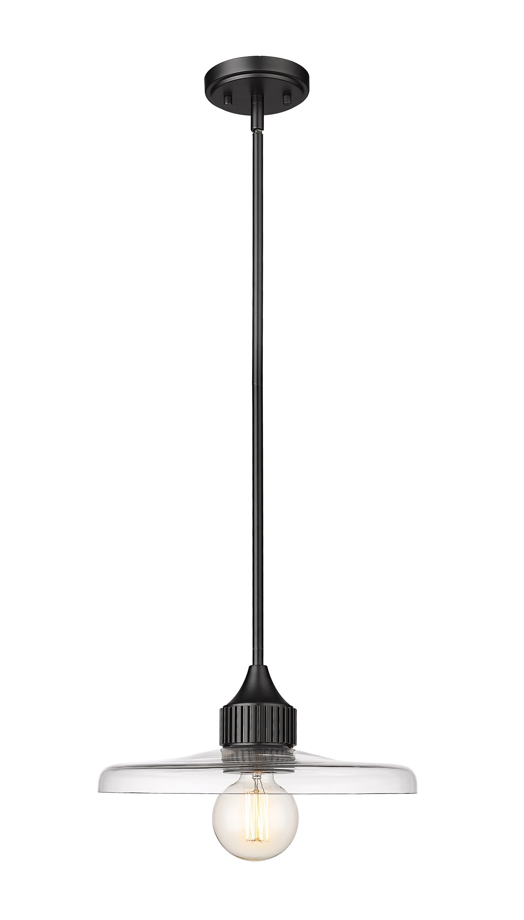 Z-Lite 821P14-MB Paloma Matte Black Modern/contemporary Clear glass Geometric Medium Hanging Pendant light