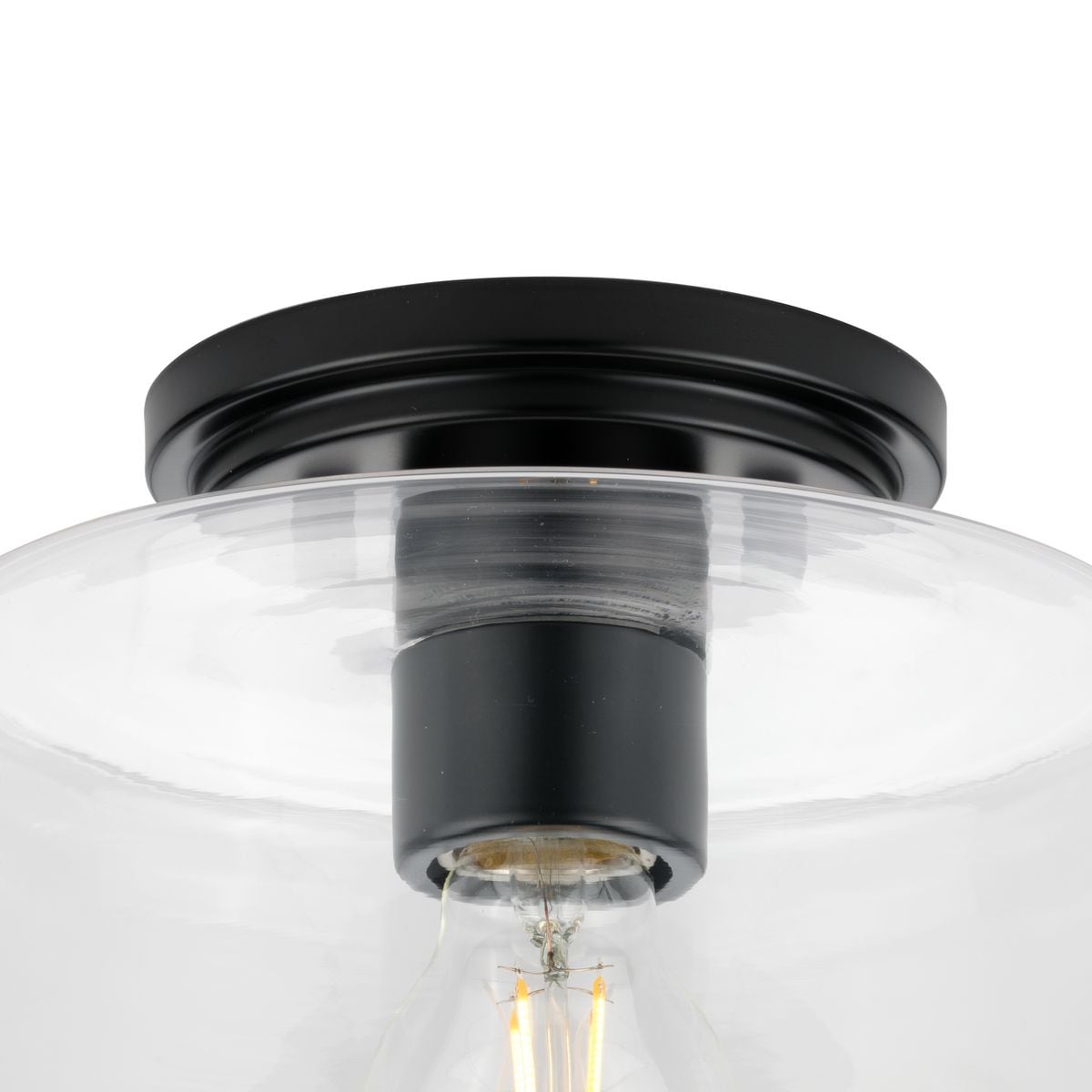 Adley Matte Black and Clear Glass Flush Mount Light