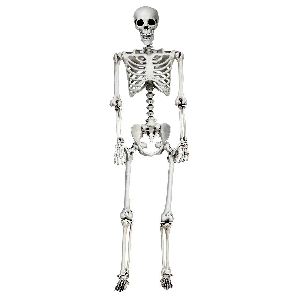 Skeleton Halloween Decorations at