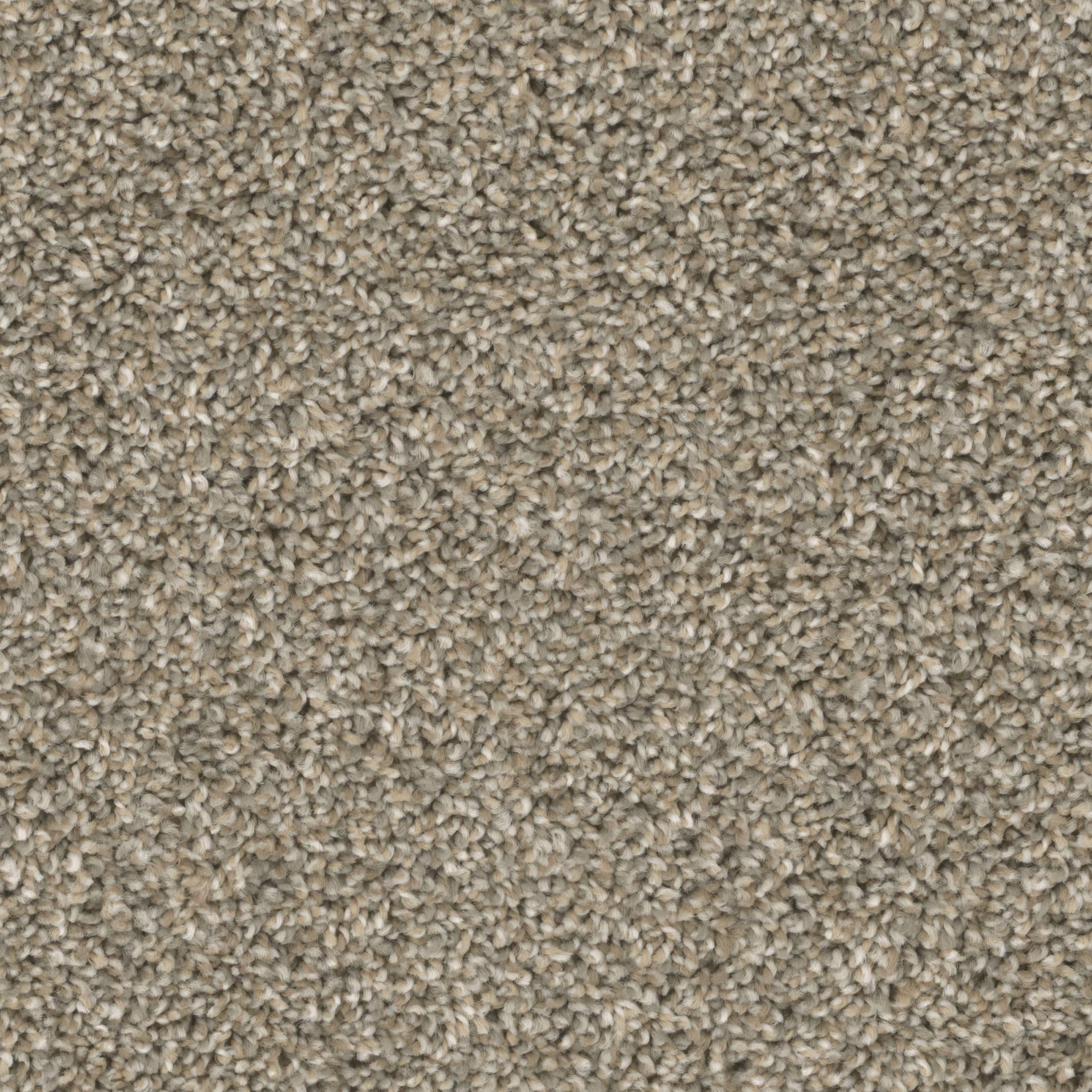 STAINMASTER PetProtect S9355-954-1200-MO Druid Hills I Sanctuary Multi-Colored 55-oz sq yard Nylon Textured Indoor Carpet