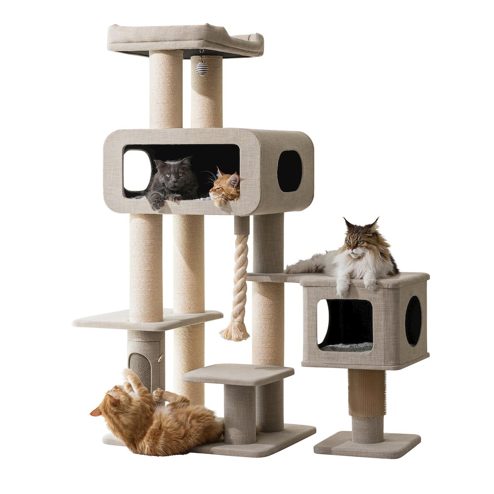 PetPals 71 Grand Maine Coon Cat Tree Ontario #PP240731