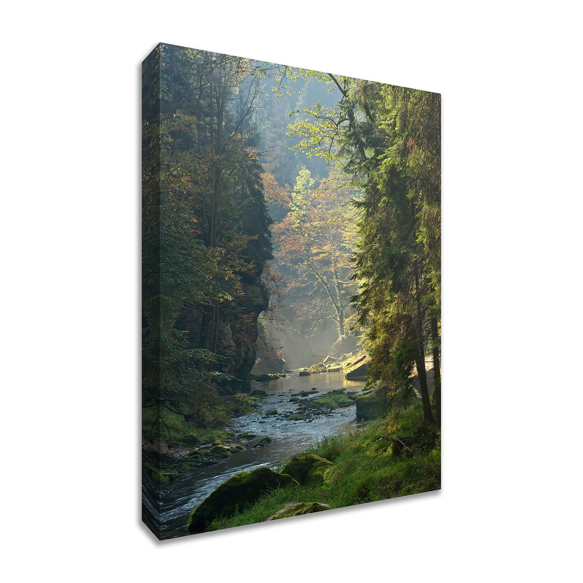 Tangletown Fine Art 11111-5738C Paradise Found 38-in H x 57-in W Landscape Print on Canvas