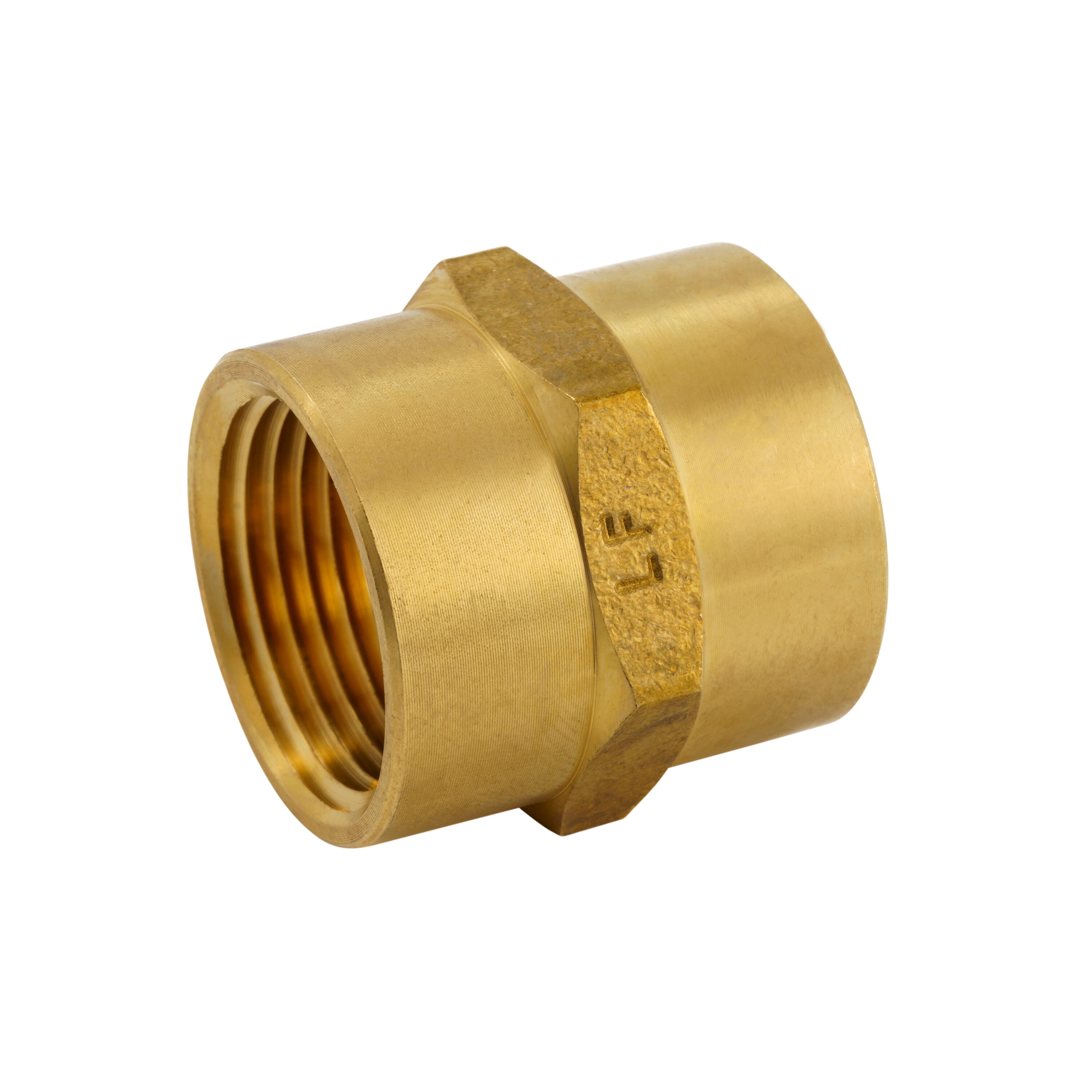 Proline Series 3/4-in x 3/4-in Threaded Coupling Fitting in the Brass  Fittings department at