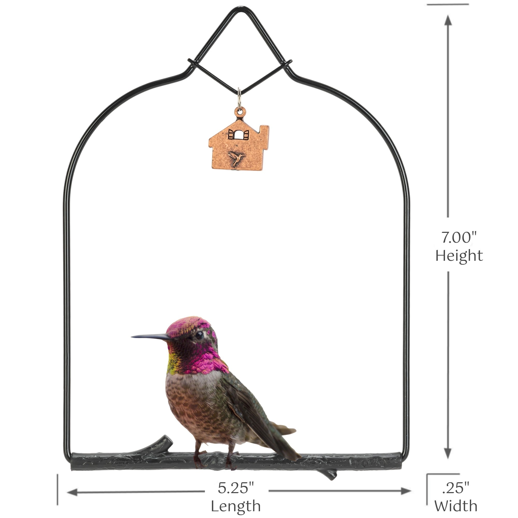 Pop's Birding CHO-CWBL Bird-Feeder-Accessories - View #6