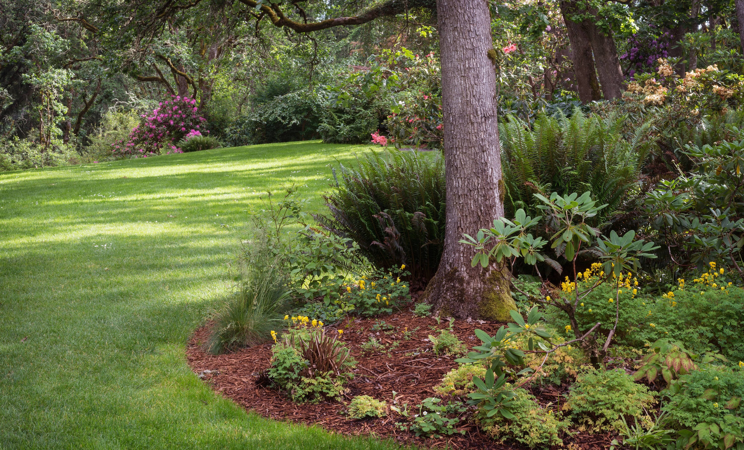JB Instant Lawn COMBO3 Lawn-Repair-Mix - View #6