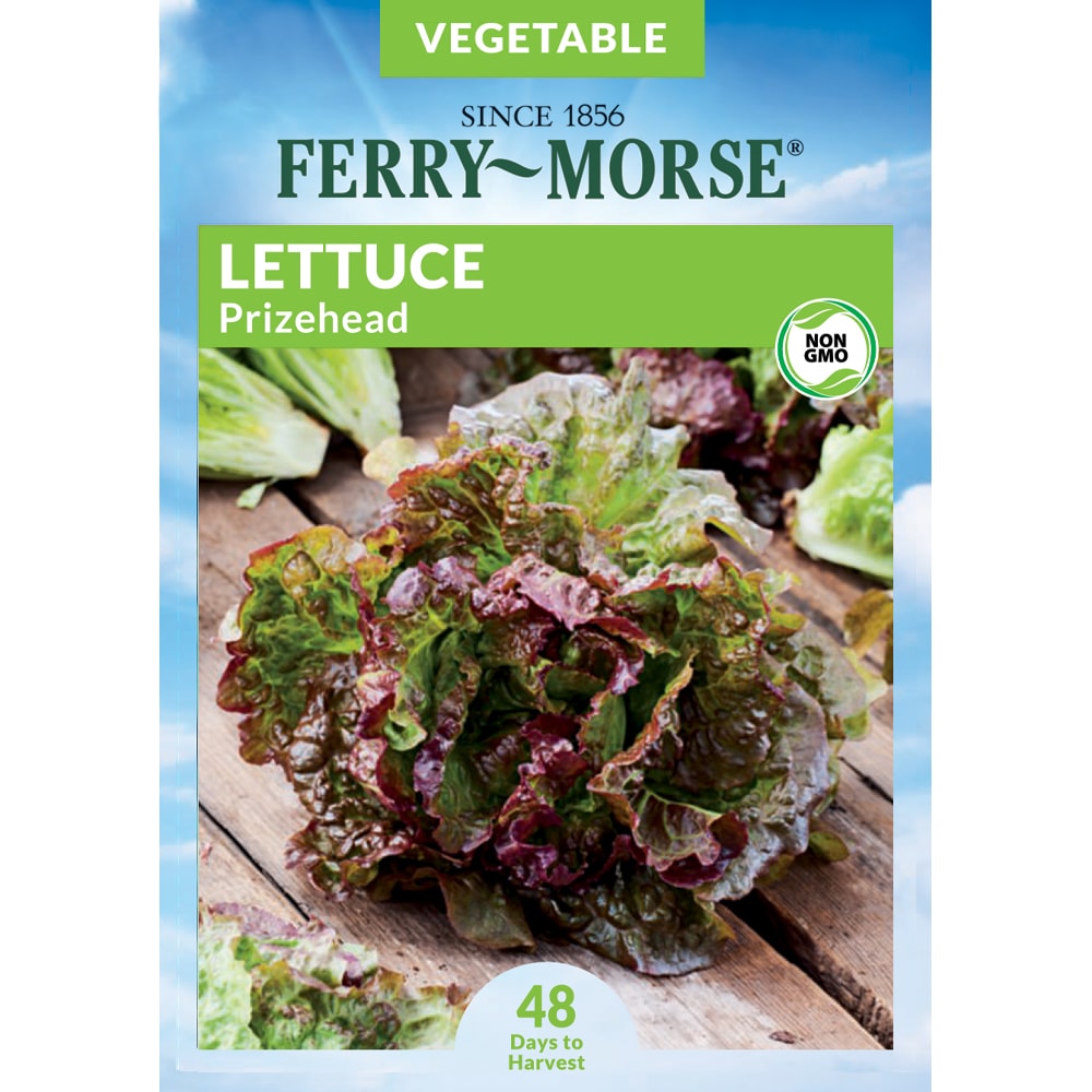 Ferry-Morse 914778.219.641759 Lettuce Prizehead Vegetable Seeds 0.8 Gram(s)
