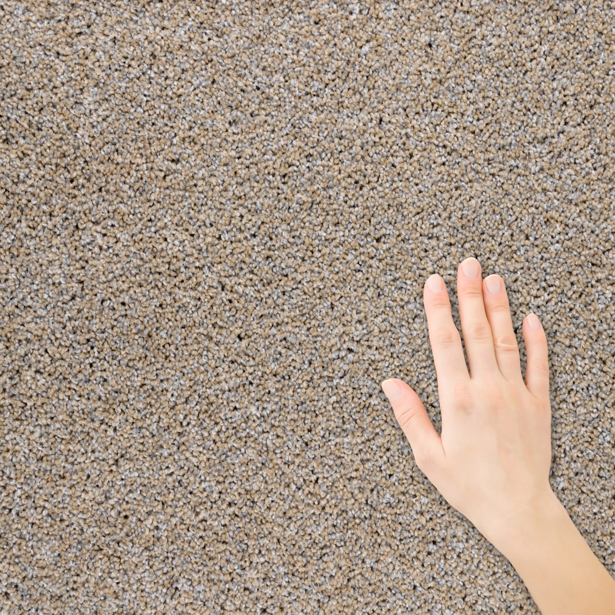 STAINMASTER S9960-20007-1200-MO Carpet-Panel - View #3