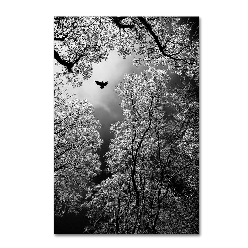 Trademark Fine Art 1X04012-C2232GG Wall-Art - View #2