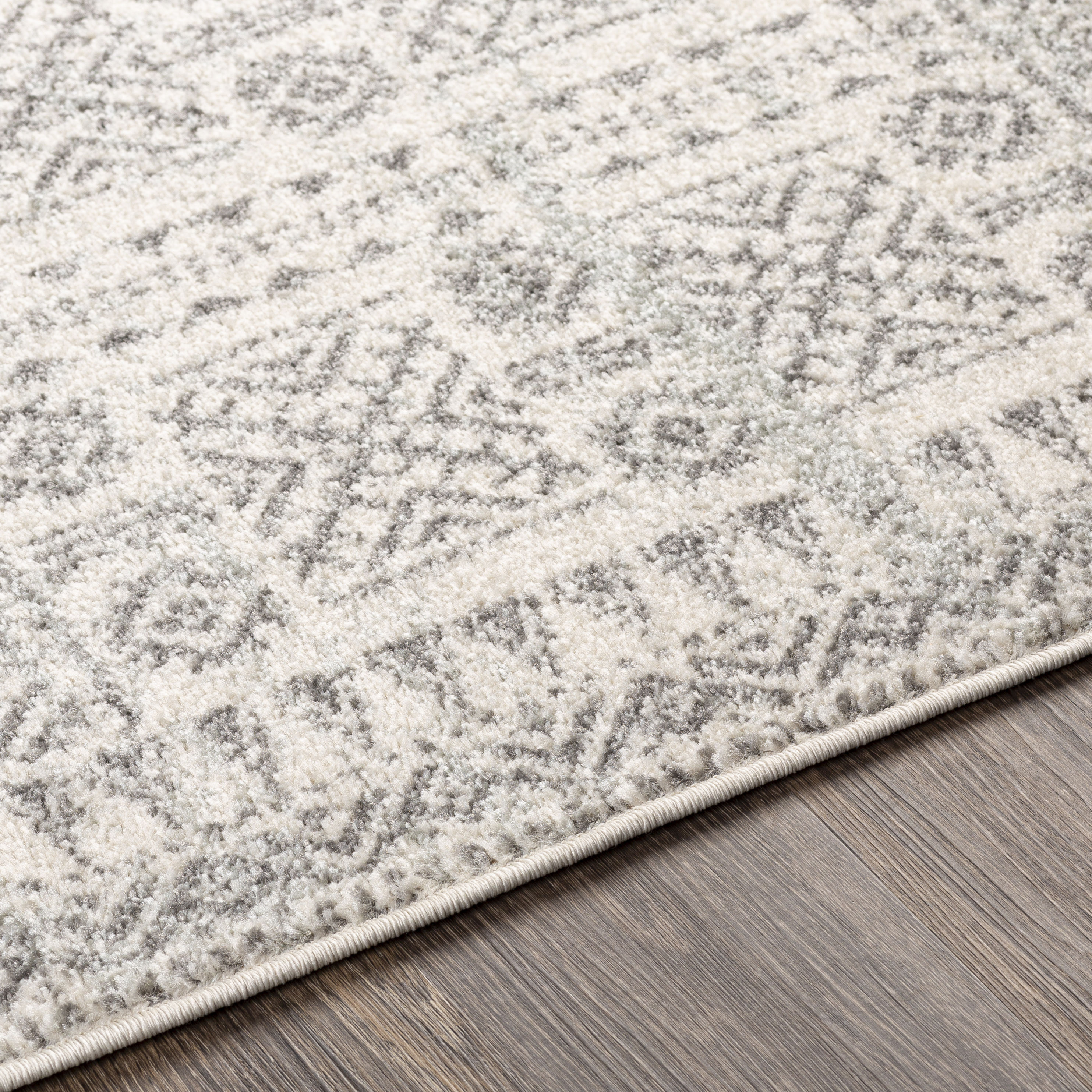 Surya ELZ2364-5376 rugs - View #5