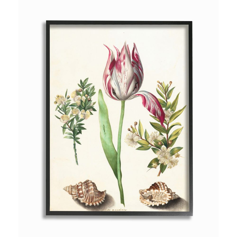 Stupell Industries Blooming Protea Floral Bouquet Watercolor Flower Still Life 16 x 20 Design by Melissa Wang White Framed Wall Art