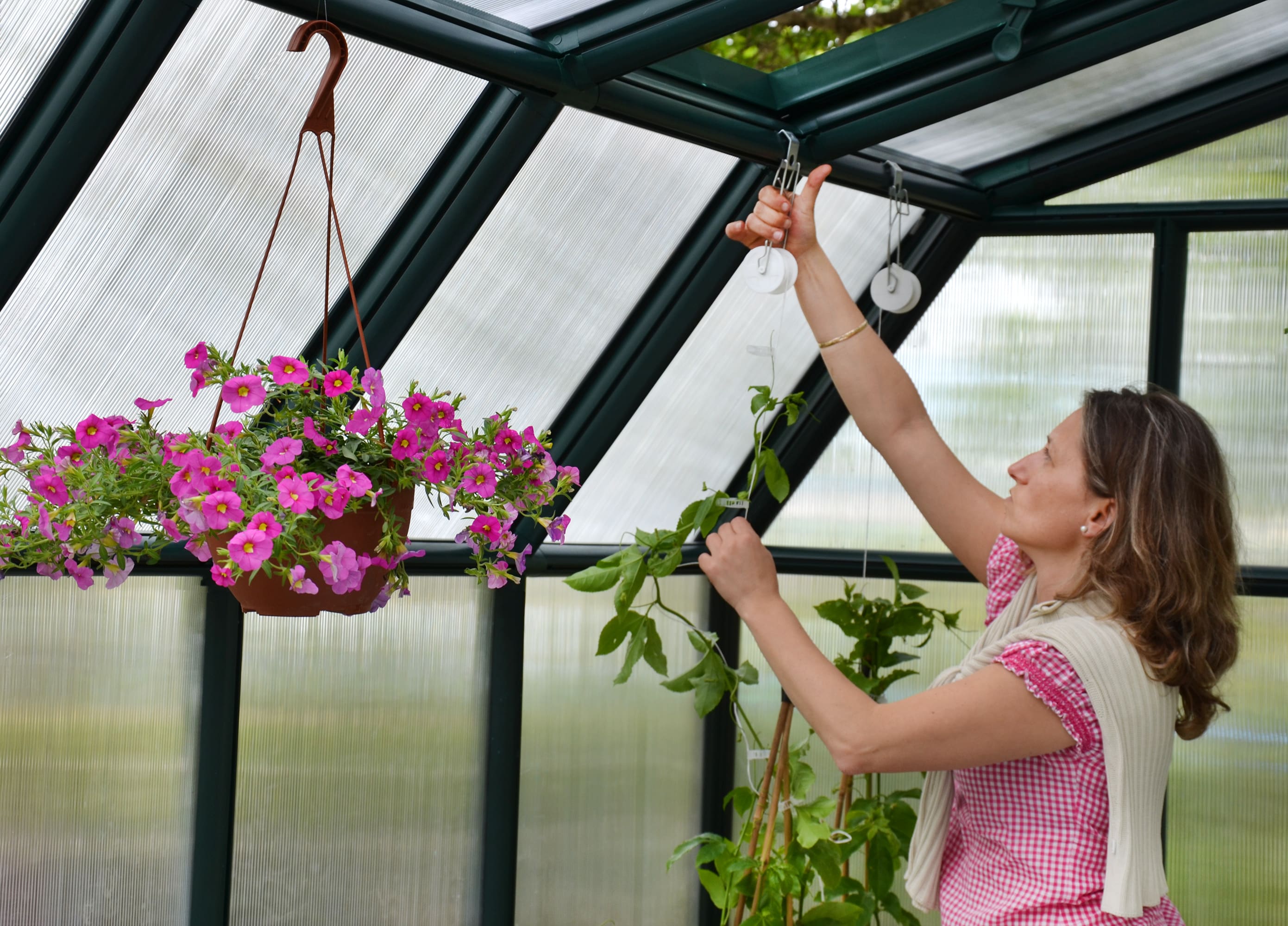 Canopia by Palram 702497 greenhouses - View #8